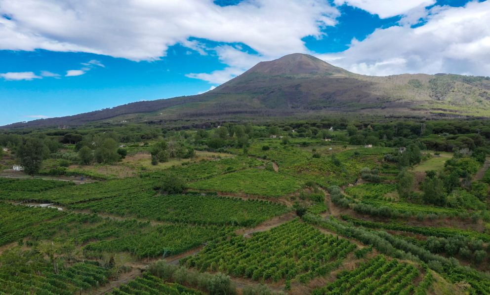 «Il futuro dei vini del Vesuvio? Continuare a migliorare e aprirci al mondo»