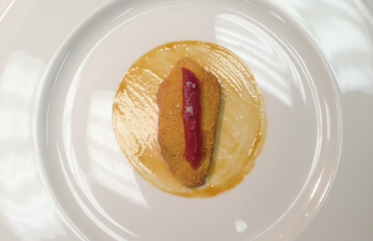 Galleria fotografica






Acqua, olio, limone e liquirizia ormai un classico taglientiano. Apertura fresca e aromatica (la ricetta è qui)








Bianco e nero di seppia, il piatto più ruffiano del nostro percorso: sotto le sfoglie di seppia che disegnano un tao, la panna cotta ai ricci di mare invita a ripulire il piatto in ogni briciola. La simmetria del piatto è interrotta da uno spaghetto stracotto, "simbolo di italianità"








Ostrica, diaframma e granita alle rose, altra entrée fresca ma anche selvatica e ferrosa








Passatina di gamberi, ceci e nocciole, Fulvio Pierangelini ribaltato








Anguilla al ribes con zabaione all’amarena








Croccante








Prescinseua, un piatto che fai prima a mangiarlo che a pronunciarlo. E' la cagliata ligure, emulsionata per esser resa ancora più cremosa. Con basilico, oliva taggiasca e polvere di noci. Un inno all'acido








Conserva, ne abbiamo parlato diffusamente su Identità di Pasta








Fegato grasso all’italiana con gelato all'acciuga, forse il "classico" più convincente di Taglienti. La ricetta, presentata a Identità 2010, è qui








Cipolla e oro che passione





