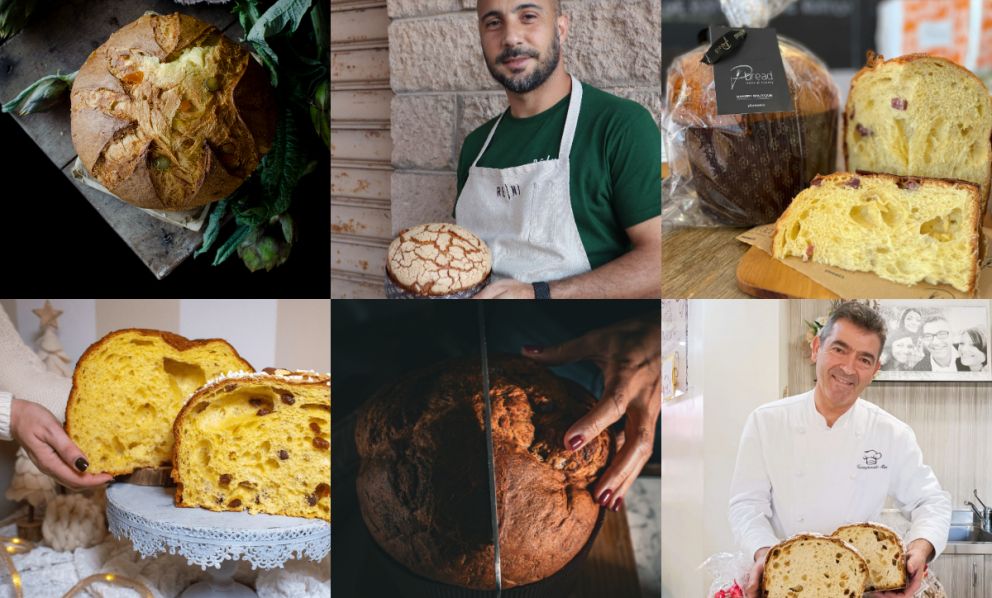 Panettone, ajò! Sei gran interpretazioni made in Sardegna del dolce di Natale