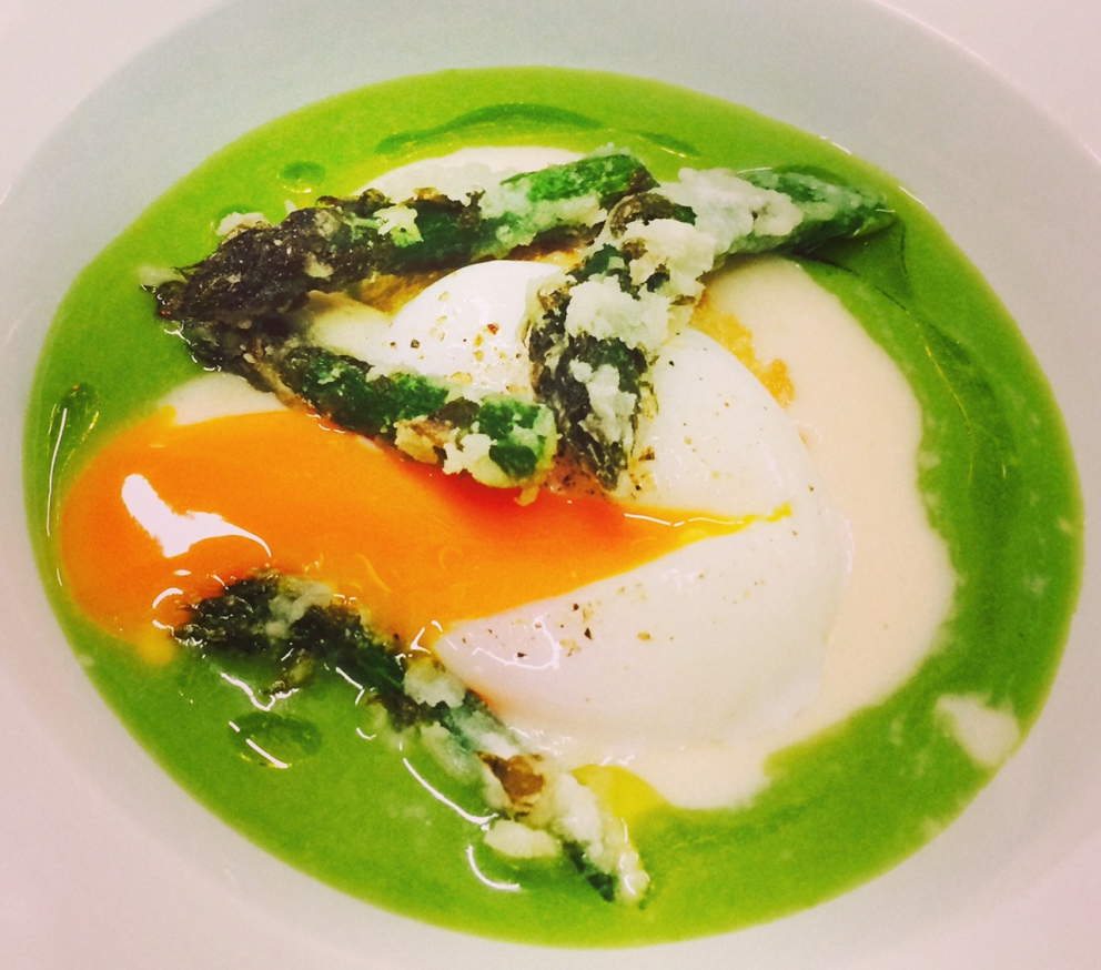 Galleria fotografica



