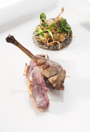 Galleria fotograficaLo stand del Trentino a Identit&agrave; Milano 2012Lo staff dello stand Trentino
Paolo Donei, chef del ristorante Malga Panna a Moena (Trento), relatore sul palco di Identit&agrave; Golose marted&igrave; 7 febbraio 2012
&nbsp;Il primo piatto presentatato da Donei: Spalla di agnello da latte ai fiori di montagna &nbsp;Il Riso affumicato con pancia di maialino e aria di latte al pino mugo di Paolo DoneiLo stand del Trentino a Identit&agrave; Golose
Alessandro Gilmozzi, il secondo relatore trentino sul palco di Identit&agrave; Golose marted&igrave; 7 febbraio 2012. Suo il ristorante El Molin a Cavalese (Trento)
&nbsp;Sotto la chioma dell&rsquo;albero, lepre e cervo d&rsquo;inverno, piatto di Alessandro Gilmozzi
