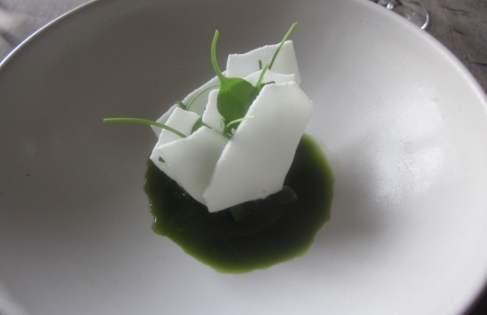 Galleria fotografica






In cammino verso il Noma. Il ristorante è al piano terra del palazzone più a sinistra. Per arrivarci dalla popolare insenatura di Nyhavn (il punto da cui è scattata la foto), occorre fare un bel giro. Ma si notano i lavori per la costruzione di un ponte. Che condurrà dritto all'insegna








Altra prospettiva sul Noma da Nyhavn. Il ristorante galleggia sulla Christianshavn, una delle tante isole artificiali che compongono Copenhagen








Di là del fiume, sulla lunga via che conduce allo spiazzo del Noma








Uno scenario molto tranquillo, di case pastello. Il silenzio è perché vanno tutti in bici













Al massimo si sente rombare qualche scafo








Il vascello davanti al Noma. Oltre a quella danese, sventolano le bandiere di Isole Far Oer e Groenlandia: le loro ambasciate sono nello stesso palazzo del ristorante. Coerenza nordica








Il retro del ristorante. L'80% delle 80 persone che lavorano al Noma viene a lavorare in bici, chef incluso








Dietro al ristorante, un'iscrizione ricorda i passeggeri scomparsi a bordo della danese Hans Hedtoft. Il transatlantico si scontrò il 30 gennaio 1959 contrò un iceberg in Groenlandia. Fu ritrovata solo una cintura di sicurezza
 








L'ingresso del ristorante, al civico 93 di Strandgade








La vista, ingresso alle spalle








Tra l'ingresso e la cucina a vista, spicca un corner di decoro simil-giapponese. A sinistra s'intravede Noma, time and place in Nordic Cuisine, edizioni Phaidon, un testo fondamentale per approfondire tutti i rivoli del Redzepi-mondo. La versione italiana si ordina qui








Una pianta di piccoli agrumi orla la cucina a vista








La porta d'ingresso vista dalla cucina








Le sedie, molto comode, sono anni Sessanta con schienali foderati di pelle di pecora, alcune più morbide di altre








I tavoli sono ampi e senza tovaglie. Attorno prevale il grigio e i colori rustici, sulle travi in legno del soffitto ma anche sulle divise dei ragazzi di sala








La finestra accanto al nostro tavolo








E' lo chef Rene Redzepi a introdurci al pasto: in un vaso di fiori danesi, l'unico pendaglio commestibile è una sorta di carta musica croccante (flatbread) di farina di malto all'aroma di ginepro. Nel piattino in basso, una deliziosa crème fraîche acida per intingerlo








Il flatbread è quello che svetta. "Ma se ci tenete, provate a mangiare anche i fiori", scherza Redzepi. Il cuoco scompare nelle segrete del Noma. Lo ritroveremo solo alla fine del pasto








Tutti i 14 appetizer si mangeranno con le mani. Unica posata, il coltello per tirar su e leccare la crème fraîche da sola (da fare quando tutti gli altri clienti son distratti, però)








Moss and Cep: Muschio di renna con polvere di funghi porcini. E' il corpo bianco, molto saporito ed evanescente, da intingere anch'esso nella crème fraîche
 








Crispy pork skin and black currant: Pelle di maiale croccante e ribes nero, lo strato più esterno. Aspro e croccante








Il ribes nero non ci lascerà prima di molto tempo








Blue mussels and celery: cozze e sedano. Solo due sono quelle buone








La parte inferiore del guscio è commestibile (ancora farina di malto)








Il quinto appetizer è nascosto in una deliziosa scatola di biscotti in latta della tradizione danese (chi non ricorda i Danish butter cookies?)








Cinque tondini, ma solo due "interessanti"








Si chiamano Cheese cookies, rocket and stems, letteralmente Biscotti al formaggio, ruchetta e gambi di erbe aromatiche, un felice snack potenzialmente riproducibile nei nord e nei sud del mondo








Appetizer #6: Potato and duck liver, Patate e fegato d'anatra: le patate croccanti sono in due strati e a mo' di sandwich racchiudono la mousse di fegato. La spolverata è di funghi trombette dei morti, disidratati e polverizzati, una tecnica che troveremo frequentemente








Dried carrot and sorrel, Carote grigliate a fuoco lento per 14 ore, disidratate e servite su polvere di fieno. Si intingono nell'emulsione di acetosella accanto. Un grande piatto perché di inattesa, energica acidità








Ottava entrée: Caramelized milk and cod liver, Biscotto di latte caramellato e fegato di merluzzo, quest'ultimo ghiacciato e pulito. Il secondo dona un aroma molto strong, che domina sul biscotto croccante. Per palati muscolari








Le uova dentro l'uovo








Pickled and smoked quails eggs, Uova di quaglia sbollentate, marinate e affumicate, un classico del Noma. Il tuorlo è completamente liquido








Col Veal fibres and söl, Filamenti di vitello e söl, decimo appetizer, entra in gioco per la prima volta un'alga di mare. E' il söl, appunto, dulse in inglese, Palmaria palmata nella tassonomia scientifica, un'alga rossa incastrata nei filamenti di vitello precedentemente tagliati sottili e poi fritti. Curioso l'impiatto a nido di ingredienti che alla fine incastrano terra e mare








Herb Toast and smoked cod roe, Toast alle erbe e uova di merluzzo affumicato, un'altra grandiosa tapa nordica da far su in due bocconi. Se non ricordiamo male, lo strato superiore è brodo di fegato d'anatra disidratato








Radish, soil and grass, Rapanello, "suolo" ed erba, un altro grande classico del Noma, un paesaggio commestibile di chiara genesi basca-adrianesca, molto replicato negli anni. Carote baby e rapanelli sono interrati in un "suolo" che è una crema di farina di malto con nocciole disidratate. Sotto ancora, uno yogurt di erbe. Finite le verdure, abbiamo chiesto dei cucchiaini per ripulire il suolo








Una foto (di spreadbutter) chiarisce meglio il contenuto del vasetto








Æbleskiver e muikku, penultimo appetizer, di concezione piuttosto recente. Un'antica tradizione dolce danese (Æbleskiver significa "piccoli pezzi di mela" ma la mela qui non c'è) è presentata in versione salata. Code e teste dei muikku, sorta di aringhe baby, sono infilzate in due bigné dall'impasto molto morbido con del ripieno di cetriolo marinato, ben riconoscibile al palato. L'aspetto dispone il cliente alla sfida ma la sua bizzarria visiva si scioglie presto in due bocconi morbidi, eleganti e deliziosi








Ultimo di 14 appetizer: Sorrel leaf and cricket paste, Foglia di acetosella (leggermente piccante) con pasta di grillo. Sì, proprio l'insetto dei prati, qui in consistenza di crema, inserita nel gambo dell'acetosella. Mettendo a fermentare grilli e orzo fermentato, Redzepi ha ottenuto una sorta di garum molto interessante, simile alla soia. Completa il piatto in foto, una granita di nasturzio ghiacciato








E il vino? Non producendo la Danimarca nettari di rilievo, è forse il capitolo meno allettante del Noma. La carta è un trionfo di vini ottenuti in climi freddi: francesi, tedeschi o austriaci soprattutto. Vini di acidità spinta che si combinano bene con le prevalenti acidità dei piatti. Le persone inquadrate nella foto hanno optato per il pairing coi succhi di frutta, quelli sì interessanti e autoctoni: il percorso prevede 7-8 succhi tra cui carote e ginepro, sedano e sedanorapa, cetriolo, eccetera. E i vini italiani? Pochi e tutti rossi, soprattutto di produttori di nebbiolo del Piemonte. "Ma li chiedono solo i norvegesi", ci raccontano








Terminati appetizer e main courses, sbirciamo i lavori in cucina. In primo piano, Samuel Nutter, sous chef inglese








Al centro, riconosciamo Matthew Orlando di San Diego, 35 anni e da 4 e mezzo head chef del Noma. Più tardi ci rivelerà che entro un paio d'anni aprirà il suo ristorante a Copenhagen. "E Renè che ne pensa?", chiediamo. "E' proprio lui a incoraggiarci a metterci in proprio", risponde Orlando. Vero, chiedere anche a Christian Puglisi








Ancora Orlando ci spiegherà che, tra sala, cucina, preparazioni e laboratorio, il Noma arriva a impiegare dall'alba a mezzanotte fino a 80 persone








La cucina prevede 7 comparti: il caldo, il freddo, la pasticceria, gli snack, produzione e mise-en-place, le preparazioni della squadra del mattino e la ricerca (su quest'ultima torneremo più avanti). Gli stagisti scelgono di lavorarci, sapendo di non essere pagati. Redzepi riceve un centinaio di curricula a settimana








Torniamo a tavola e troviamo nuove posate: rami appuntiti di sambuco








Servono a infilzare il primo delle portate "serie", Potato and snails, patate e lumache, servito in due piatti. Il primo è una terrina (rovente) di piccole deliziose patate affumicate e semiaffogate in una salsa al burro dolce e al tavolo spolverate con sale proprio di sambuco. Accanto, piccoli ceppi d'albero affumicati








Accanto, l'altra metà del piatto da infilzare coi bastoncini di sambuco: lumache glassate nel loro succo con burro dolce, olio al prezzemolo ed emulsione di piselli fermentati








Dopo 15 portate arrivano le posate. "Si torna alla civiltà", scherza il ragazzo di sala








...e arriva pure il pane, nascosto in una stoffa soffice con accanto due ciotoline che contengono burro da latte di capra e burro di grasso e crumble di maiale. Colesterolemici, vade retro








Solleviamo la stoffa: il pane è una pagnotta di lievito naturale di grano locale. La crosta è super-fragrante e il cuore molto sofficie e poroso








Cooked fava beans and beach herbs, Fave stufate gentilmente ed "erbe di spiaggia" (che poi sono diversi tipi di alghe di mare). Le fave sono fantastiche nella loro compattezza inaspettatamente dolce








Con la terza portata del ciclo "serio" veniamo ai ragazzi di sala: sono tutti molto professionali ma anche rilassati. Tra i 30 e i 40 anni, molti tatuati, ruotano di continuo al nostro tavolo: una trentina dei piatti sono stati serviti e illustrati da 10 camerieri diversi, molti dei quali cuochi dei livelli più alti della gerarchia. Il ragazzo in foto che ci serve Berries and cucumber, Bacche e cetrioli, si chiama Beau Clugston, è australiano e da poche ore è un nuovo sous-chef del Noma








Ai frutti di bosco e insalata di cetrioli si unisce del succo di camomilla...








...et voilà








Insalata di brown crab (granchi atlantici), tuorlo d'uovo, erbe di campo e il rosso sono le uova del granchio. I ragazzi si raccomandano di fare attenzione perchè potrebbe esserci del carapace o delle chele: la carne del granchio è stata rimossa tutta a mano. Noi ci scontriamo solo con un fresco schiaffo iodato








Accanto alle langoustine, scampi norvegesi, torna l'alga söl, questa volta in forma di emulsione con acqua di ostriche. I puntini rossi sono segale disidratata








Cavolfiore e pino, crema e rafano. Pensi a una capasanta e invece è un trancio di cavolfiore quello che spunta da sotto gli aghi di pino. E' ricavato dalla parte alta dell'ortaggio, arrostito a arricchito con gli aromi di pino, abete, ginepro e rafano. L'orto e il silvestre








Lucioperca con gambi di verdure. Impeccabile ma insolitamente classico nella sua concezione su salsa al burro e capperi. Incuriosisce la disposizione, che lascia intonsa più di metà del piatto. Come a voler lasciar libero il lucioperca di sguazzare di nuovo








Arrivano in tavola nuovi oggetti: olio di fieno e un cronometro. E' l'inizio del gioco di The hen and the egg, La gallina e l'uovo








The hen and the egg #2: attorno a un tegamino rovente su del fieno appena umido, notiamo una chips a spirale di patata e un uovo (d'anatra, ci dicono)








The hen and the egg #3: accanto al tegame, foglie di spinaci, aglio selvatico, germogli e fiori di campo vari








The hen and the egg #4. "Dovete rompere voi l'uovo e cuocerlo", ci spiegano armati di olio di fieno, che spruzzeranno nel tegame prima del nostro esercizio








The hen and the egg #5: son riuscito a non sbrodolare. Il piatto, spiegherà Redzepi poi, "E' un po' un invito sdrammatizzante a cucinare. Sono rimasto sorpreso dal fatto che tanti clienti non hanno mai rotto un uovo. Cerco di mostrare loro che la cucina è in fondo un esercizio molto elementare"








The hen and the egg #6: dopo 120 secondi esatti di cronometro, si uniscono all'uovo le verdure e si rimesta il tutto








The hen and the egg #7: tocco finale, una salsa di acetosella. Il piatto non è memorabile...








...ma il risultato è lo stesso delle 21 portate precedenti: piatto spazzolato The hen and the egg #8








Animelle di vitello, erbe di campo, funghi e sedanorapa. Un gran piatto, ma non esattamente quello che ti aspetti al Noma. Sottigliezze eh








A un passo dai dolci, il brusio in sala si fa più sostenuto. L'alcol e le discussioni sull'incredibile girandola di piatti provati








E il brusio lievita ancora al primo dei due dolci: Blueberries and ants, Mirtilli e formiche (la foto è di garyalanfine, avevo terminato le batterie). Il piatto è duplice: la foto mostra la prima metà, che racchiude una confettura di formiche tra due foglie di nasturzio. Ce la porta al tavolo Rosio Sanchez da Chicago, splendida coordinatrice dei dessert del Noma. E le formiche? Ci torniamo alla fine della gallery








Mirtilli e formiche parte seconda: accanto alle foglie di nasturzio con formiche, arriva un geniale sandwich con gelato di mirtilli (la foto è ancora di garyalanfine)





