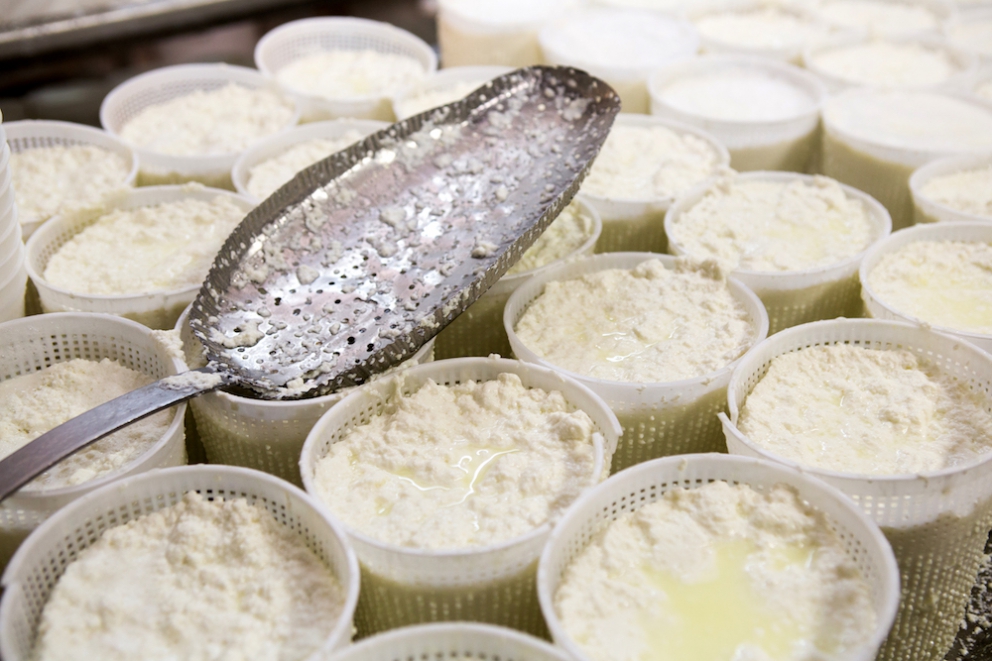 Photogallery






The best olives? Damaskinoelies by Michalis Ainatzoglou. They are as large as plums and come from an ancient variety cultivated in the region of Argo, in the Peloponnesus. Ainatzoglou owns secular olive trees in Kiveri. He leaves the gigantic olives to ripen in salt, following a traditional method; he then rinses them and pasteurises them. Thanks to this process they’re preserved without chemicals. Tel: +30.6977.500810














The Best Olive Oil Award went to Governor, produced in Corfu. The olive groves on the island are renown for their beauty, yet the oil made from them was not good enough and was sold unbottled to overseas buyers. Two young men,Spiros and George Dafnis, have managed to produce an absolutely excellent oil. Tel: +30.266.1075701














The award for the best shop selling delicious food went to Agora, mezedopantopoleio in Thessaloniki, one thousand square metres of lovely food. As they say in the motivation "it really has nothing to envy to the famous Eataly in Milan".Agora was created by Thomas and Giorgos Douzis. It’s in 42 Pavlou Mela St., Thessaloniki. Tel: +30.23.10288008














The Best Greek Honey in 2016 is Amorgiano, a sweet delicacy from the Cyclades. Panagiotis Maroulis – a tv director who changed life – produces it on the island of Amorgos. He has beehives in four places on the island: Lagada, where sage and flowers dominate; Halara, a cliff home to a local bee, with a different genetic profile, making honey with scents of salt and thyme; the islet of Nikouria, again with aroma of thyme; and, a little further, the small island of Donousa, where there’s heather. Tel: +30.228.5073048














The Best Farm Award goes to Agios Loukas, an agricultural cooperative from Raki, thanks to its high quality cherry production on Mount Olympus. 90% of the production is exported. Tel: +30.235.1098711














The best meat in Greece is Aroma by Koutsioftis Farms, owned by brothers Stergios and Dimitris Koutsioftis. Third generation of breeders, they made the first 100% Greek calves, fed with special patented forage (mostly Greek aromatic herbs: mint, basil, oregano, coriander and some other herbs which are kept secret, hence the name "Aroma" for the meat). The meat is rich in omega-3, as the calves eat linseeds too. Tel: +30.233.1071803











