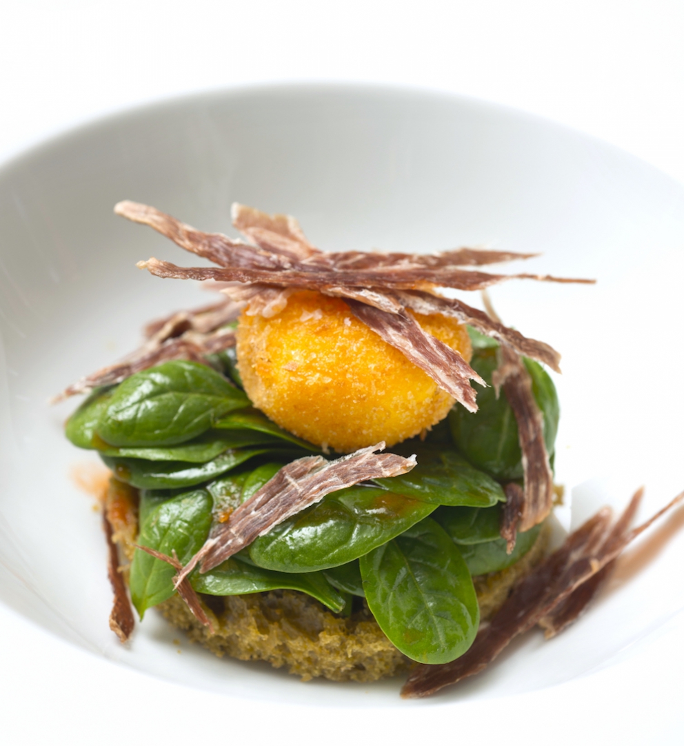 Galleria fotografica



