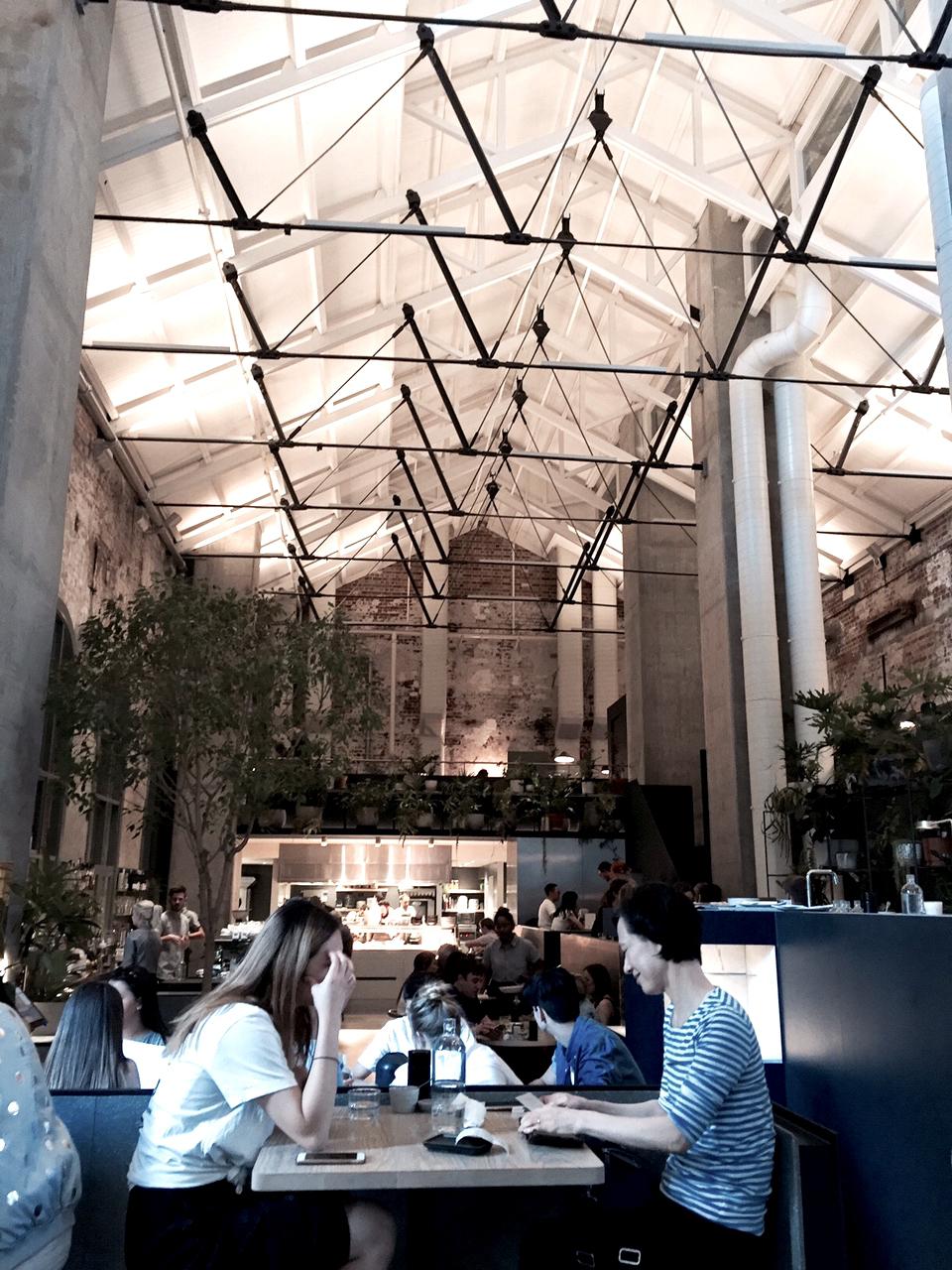 Galleria fotografica






Con l'aereo che sarebbe atterrato all'aeroporto di Melbourne alle 4.20 del mattino di martedì 4 aprile, ha fatto davvero piacere entrare della stanza 1729 del Langham Hotel lungo la South Bank del fiume Yarra e trovarvi della frutta fresca









Lo skyline notturno di Melbourne dalla camera al Langham. Il sole sarebbe sorto un paio d'ore dopo









Prima colazione con vista sul centro di Melbourne e il corso del fiume Yarra









Nicolas Chatenier, responsabile del panel francese nella giuria dei 50 Best, ha invitato stampa, cuochi e amici al Philippe Restaurant in pieno centro di Melbourne. «La Francia e i Fifty hanno avuto in passato relazioni torbulente che stiamo superando e così eccoci qui da uno chef che ha lavorato per anni e anni con Paul Bocuse». In effetti Philippe Mouchel è quanto di più lontano possiamo aspettarci oggi da una tavola contemporanea. Da un eccesso all'altro?









Clement Vachon e Yannick Alléno









Mauro Colagreco e Massimiliano Alajmo. Per la prima volta è toccato al fratello chef rappresentare le Calandre ai 50 Best. In passato, a Londra e a New York, era sempre andato Raffaele Alajmo









Dominique Crenn, argento vivo









Una tavola italiana è sempre allegra e calamita tutti, anche Yoshihiro Narisawa









La prima cena a Melbourne? Cafè Di Stasio, la buona Italia nel mondo









Rinaldo Di Stasio, per tutti Ronnie, produce vino nella Yarra Valley dal 1994. Le etichette le cura suo padre in maniera molto singolare: scrivendo l'originale a mano



















«DOC, siamo nati pizzaioli» è scritto su una grande lavagna in una delle due pizzerie chiamate DOC da Tony Nicolini. Questa è quella in Albert Park









La stessa inquadratura di prima ma con i fattori invertiti per evidenziare la foto di papà Nicolini quando era un giovane pizzaiolo arrivato nella metropoli dello stato di Victoria









Volo di mongolfiere su Melbourne all'alba di mercoledì 5 aprile 2017









Mercoledì 5 aprile, ore 9.30 del mattino, il giorno della verità dei Fifty Best 2017: la tensione di Massimo Bottura in attesa della sera









Massimo Bottura e Ben Shewry, chef neozelandese trapiantato a Melbourne in Australia









Dan Barber, chef-patron di Blue Hill at Stone Barns poco a nord di New York. Profeta della sostenibilità a 360° ha sospirato e poi sorriso quando gli abbiamo chiesto di Donald Trump presidente: «Il mio lavoro diventa più difficile, ma la sfida molto più interessante»









A conferenza e interviste concluse, posano i 5 chef intervistati. Da sinistra verso destra Gaggan Anand, Dan Barber, Elena Arzak, Virgilio Martinez e Yannick Alléno









Foto ricordo per me con, da sinistra, Virgilio Martinez, Valeria Senigaglia, Alessandra Gesuelli, Gaggan Anand e Elisabetta Canoro









Mercoledì 5 aprile a Melbourne: alle 6.30 della sera vengono aperti gli ingressi del Royal Exhibition Building e i quasi 1000 invitati iniziano a defluire, suddivisi in due file. A destra red carpet per i vip, a sinistra il dietro le quinte per la stampa









Finiti gli scatti con mogli, fidanzate e amici, Alajmo, Bottura, Crippa e Romito, reggendo un A4 ciascuno, ricorderanno così l'amico Bob Noto, scomparso a Torino lo scorso 23 marzo. Davvero un bel gesto









All'incrocio dei due assi di un edificio che quando venne inaugurato, nel 1880, era il più grande dell'intera Australia, due grandi postazioni per il party post-premiazione. Da una parte il pesce...









E dall'altra la carne bovina. Lavorata sul posto, poi cotta alla brace all'esterno assieme a dell'ottimo agnello, la vista della mezzena di un manzo non ha entusiasmato tutti gli ospiti. Nell'alta cucina c'è anche chi è vegetariano o vegano...









Massimo Bottura e Massimiliano Alajmo ormai a giochi fatti e, soprattutto, annunciati









Tra gli espositori di cose buone durante la cerimonia anche Calia, un distributore di qualità con un miele da favola da fiori di Leatherwood, un arbusto che cresce in Tasmania. Ne ho chiesto un campione da portare con me in Italia, mi è stato dato con questa motivazione: «Lo prenda pure perché ha chiesto il permesso invece di mettersi in tasca la boccetta». In un certo senso, edificante









Il diavolo non fa i coperchi, l'iPhone non sempre fa le foto a fuoco soprattutto quando chi lo usa ha fretta di fissare un gruppo di mogli degli chef premiati come al centro Lara Gilmore, la signora Bottura









Ai fotografi professionisti le foto non vengono mai sfuocate. E se capita è perché lo volevano









Massimo Bottura non si separa mai da un tricolore che riporta i primi tre articoli della costituzione, uno per colore partendo ovviamante dal verde









Le premiazioni sono finite, la festa quasi e allora ben venga un paio di scarpe, comodissimi sandali per Ana Ros, Best Female Chef per il 2017






