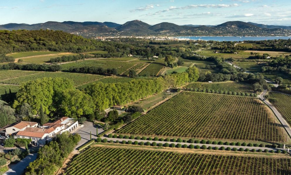 I grandi Rosé di Minuty, vini identitari ad alto tasso di convivialità