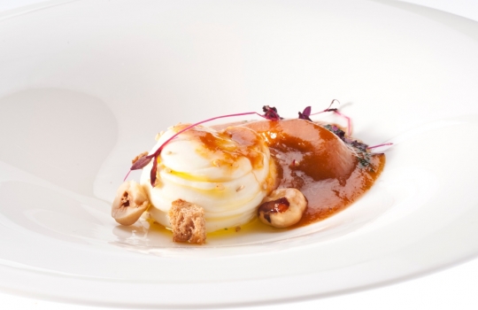 Galleria fotografica






Ricordi di Franco Aliberti dell'Osteria Francescana di Modena: Krapfen alla camomilla con biscotto caramello e caffè. «Morbido come un cuscino da abbracciare», ha spiegato il cuoco








Merluzzo con rafano freddo, mele e cetriolo marinato, un piatto scandinavo estivo di grande freschezza e note leggere firmato da Daniel Berlin, cuoco del Krog i Skåne a Tranås in Svezia








Testa di merluzzo leggermente affumicata con cavolfiore con burro brunito e sale e uova di merluzzo essiccate. Un altro piatto firmato da Daniel Berlin: «Uso la testa del merluzzo perché mi piace la consistenza della polpa umida, morbida e cremosa. Amo cucinare tutte le parti del pesce, branchie e gola compresa»








L'Omaggio alla barbabietola di Lorenzo Cogo, cuoco d'El Coq di Marano Vicentino, Vicenza. «È un piatto che posso servire liberamente», ha spiegato. Ovvero: come superare la rigida divisione delle portate, caratteristica molto italiana








L'interpretazuione dello zucchero filato di Lorenzo Cogo. Una sorpresa che conduce dritti all'infanzia





