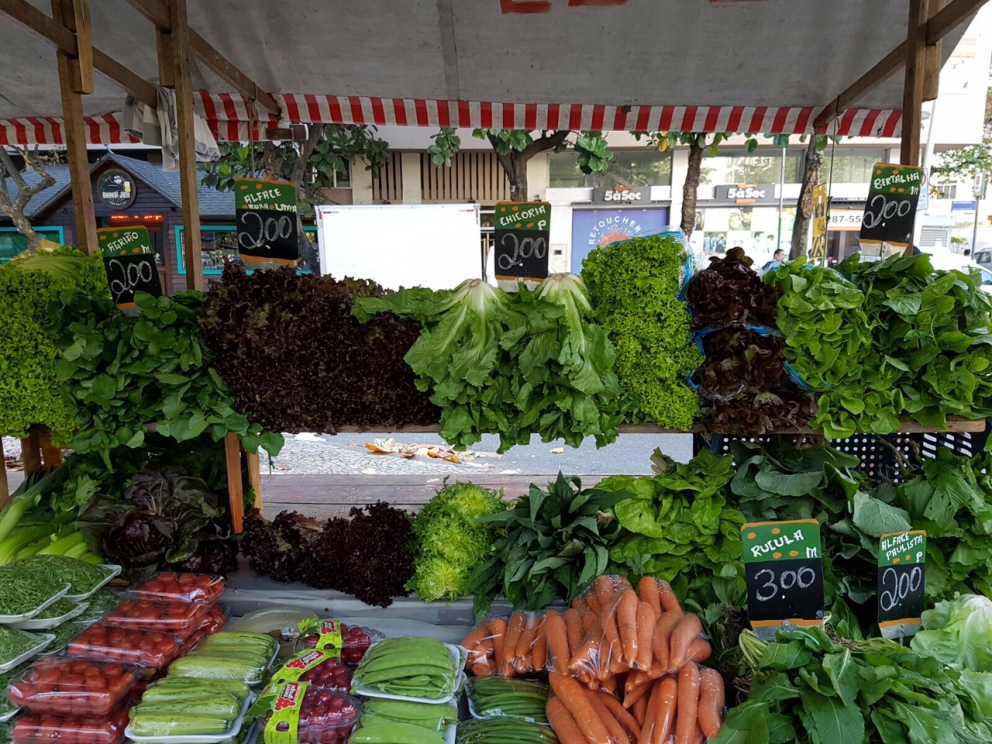Galleria fotografica











Lo staff del Refettorio Gastromotiva









Matteo Renzi, Davide Oldani e Giancarlo Lunelli un paio di giorni fa, a Rio









In libreria dal 9 agosto i(e oggi in edicola) anche il nuovo libro di Oldani per i Giochi Olimpici: parla di cucina, cibo, salute e benessere









Casa Italia a Rio









David Hertz e Massimo Bottura









Bottura con David Hertz









La cena inaugurale di Casa Italia a Rio









Il menu della cena d'inaugurazione di Casa Italia









E per finire quattro scatti di Oldani tra i colori e i profumi dei mercati alimentari di Rio
















