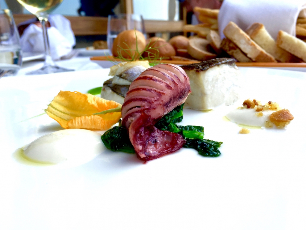 Galleria fotografica






Gran pranzo al Bikini. Appetizer: calzoncino ripieno di fiordilatte, polpetta di melanzana e alice ripiena. Le foto sono di Tanio Liotta









Crudo e cotto di schianto









Totanetto ripieno di provola affumicata e patate, salsa di prezzemolo e parmigiana di melanzane e Trancetto di provolone del Monaco, porcino del monte Faito, salsa di barbabietola e rucola selvatica









Spaghetti con limoni di mare e finocchietto









Mezzi occhi di lupo di Gragnano con sconcigli, (ossia murici: «una volta li regalavano, ora costano 6-7 euro al chilo»)






