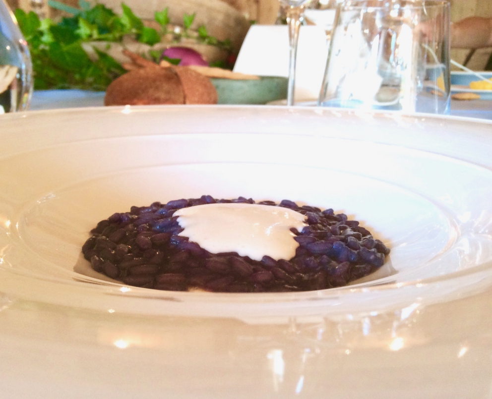 Galleria fotografica






Hanno iniziato Alessandro Negrini e Marzia Buzzanca, con Pizzocchero Pizza, ossia un trancio di impasto a base di lievito madre, 32 ore di lievitazione in teglia, una parte di farina di grano saraceno, by Buzzanca («Simone Padoan è il mio maestro»). Il topping è di Negrini: patate, verza, bitto, mozzarella e pesteda. Le foto di questa fotogallery sono di Tanio Liotta









Calamari al testo, polveri mediterranee, bitto dop e tartufo nero: uno dei piatti più riusciti è firmato Stefano Ciotti









Come eravamo: pane e cipolla, ossia quanto i contadini mangiavano al momento della raccolta delle olive (pane Altamura e cipollotto, qui con l'aggiunta di burro e crema calda di bitto e crumble al cacao) secondo Filippo Sinisgalli









Sbrisolona salata alle mandorle e mele, gel di gin, pomodorini passiti e gelato al bitto dop, la ricetta di Tommaso Arrigoni









Cipolla caramellata all'uva fragola, zabaione al bitto dop, crumble di nocciole, di Fabio Silva






