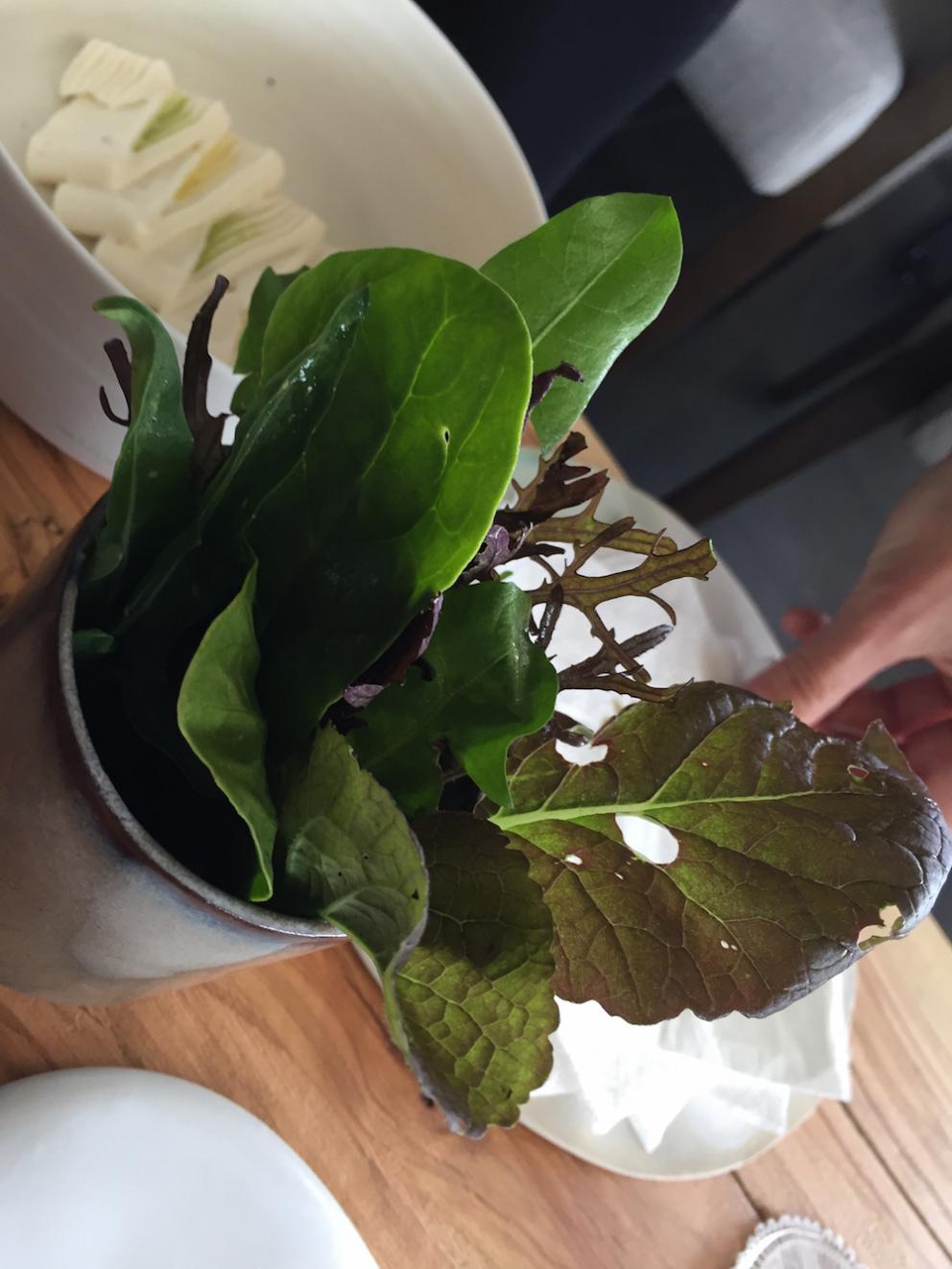 Galleria fotografica






Il menu degustazione Carte Blanche del Mirazur si apre con 8 piccoli assaggi che si possono gustare al piano inferiore, quello della cucina. Assaggio #1: Carota cotta nella calce viva con succo di carota e coriandolo 









Assaggio #2: Barbabietola con formaggio di capra






