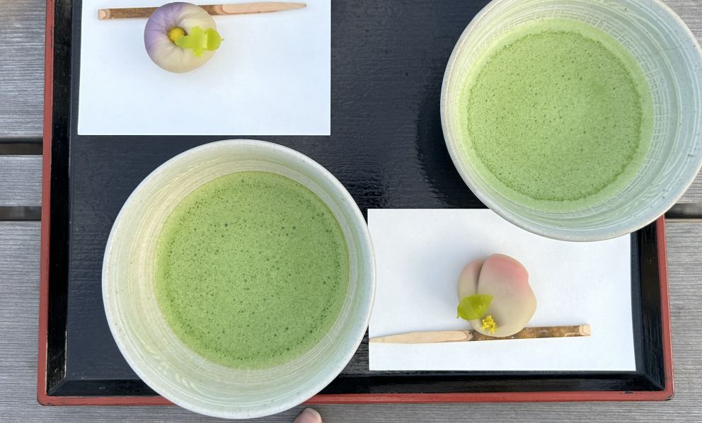 Té Matcha: proprietà e usi in cucina