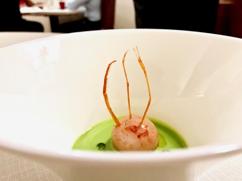 Galleria fotograficaS'inizia con gli appetizer: ottima la Tartare di spigola e pomodoro
Frittellina di pasta acida con schiuma di patate e aringa
Bonbon di mojito e frutto della passione
Cannolo di pasta sigaretta con schiuma di caprino e cipolla rossa caramellata
Inizia il degustazione con un piatto di alto livello: Ostrica, cetriolo e tuorlo affumicato. Il cetriolo &egrave; in zuppetta, il tuorlo affumicato su una cialda soffiata di brodo
I pani, buonissimi, a iniziare da carasau di Ovodda. Vengono serviti con evo Villa Cidro
Un piatto del menu La mia Sardegna, ma che racconta il territorio con modernit&agrave; e una piacevolezza indimenticabile. E' stato tra i miei preferiti:&nbsp;Battuto di pecora, patata soffiata e bucce. La buccia di patata viene soffiata e fritta, cos&igrave; resa croccante, poi riempita di battuto di pecora, a parte la spuma di patata
Cannolicchio, ravanello e barbabietola, con granita di ravanello, crema di rapa rossa, cialda di topinambur affumicato ed emulsione di ostrica. Buonissimo
Misticanza, lievito e malto: pura modernit&agrave;
Muggine affumicato, colatura di pomodoro&nbsp;e neve di yogurt
Seppia cruda alla brace, un classico di Deidda
