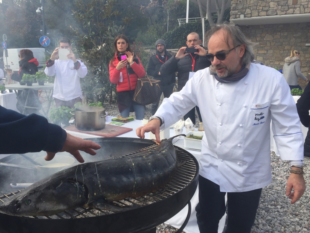 Galleria fotografica



