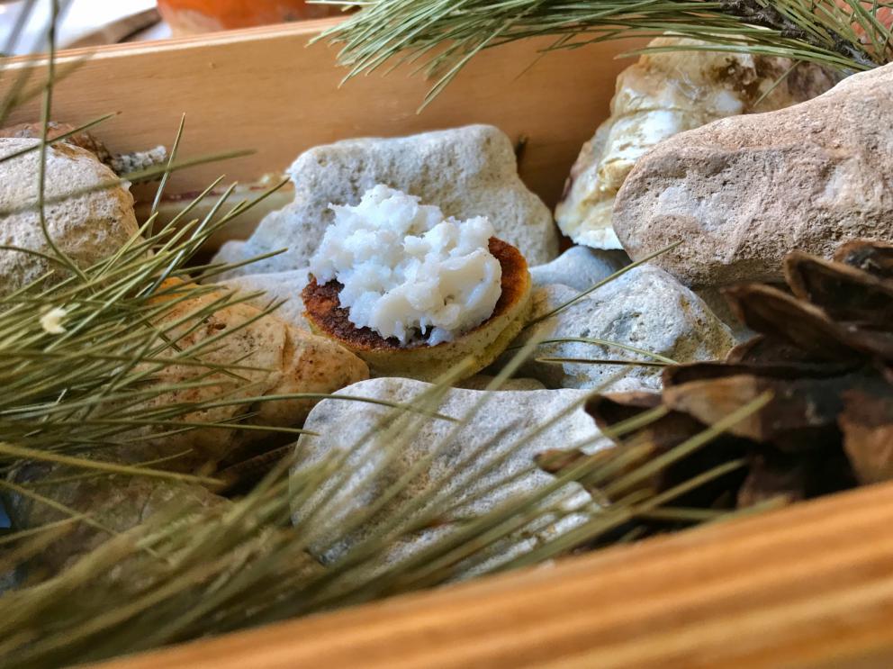Galleria fotografica






Si inizia con pane da grano 100% Senatore Cappelli, poi crema d'olio evo di Coratina Muraglia e lardo









Gioco di appetizer









Oliva di Cerignola e vermuth, Fragola e Campari






