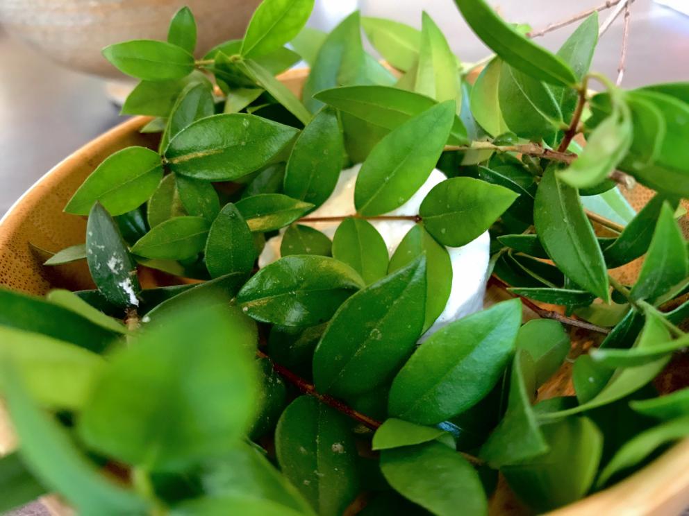 Galleria fotografica






Si inizia con pane da grano 100% Senatore Cappelli, poi crema d'olio evo di Coratina Muraglia e lardo









Gioco di appetizer









Oliva di Cerignola e vermuth, Fragola e Campari









Pancake di patate e lardo affumicato









Bigné al formaggio erborinato, crema di rucola e aceto di vino rosso









Toast di pane alla crema di ricotta forte e garum di sgombro









Ravanello, aceto di fruti rossi, semi di girasole e cumino









Patata e paté di fegato di piccione






