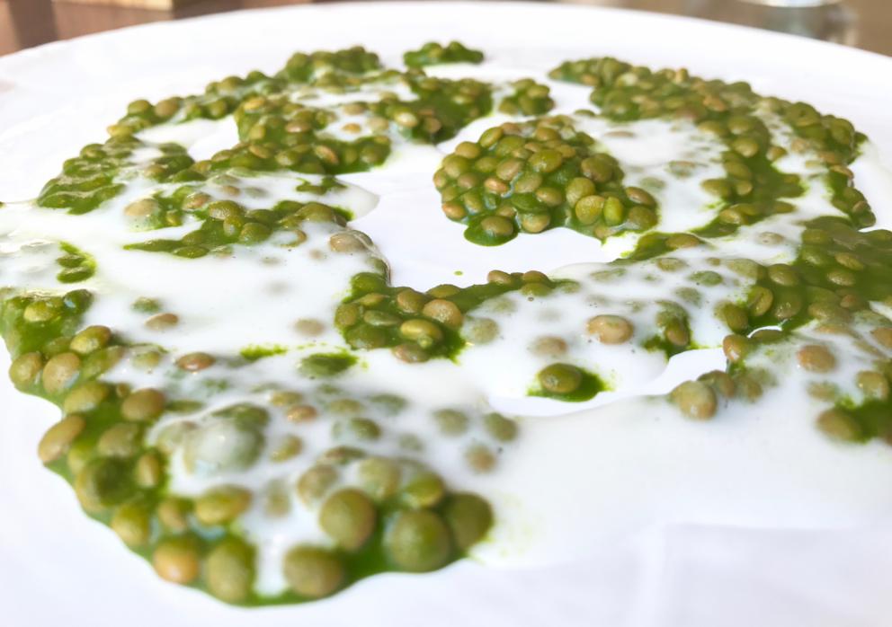 Galleria fotografica






Si inizia con pane da grano 100% Senatore Cappelli, poi crema d'olio evo di Coratina Muraglia e lardo









Gioco di appetizer









Oliva di Cerignola e vermuth, Fragola e Campari









Pancake di patate e lardo affumicato









Bigné al formaggio erborinato, crema di rucola e aceto di vino rosso









Toast di pane alla crema di ricotta forte e garum di sgombro









Ravanello, aceto di fruti rossi, semi di girasole e cumino









Patata e paté di fegato di piccione









Formaggio fresco di capra









Cipolla cotta in forno, lampascioni, ribes nero, perle di aceto balsamico, olio al porro, tapioca e sambuco









Indivia al forno, mela verde, crema di mandorle, bergamotto, limone gratuggiato









Tarte alle vongole e asparagi...









...con asparagi schiacciati al'olio di cerfoglio e limone






