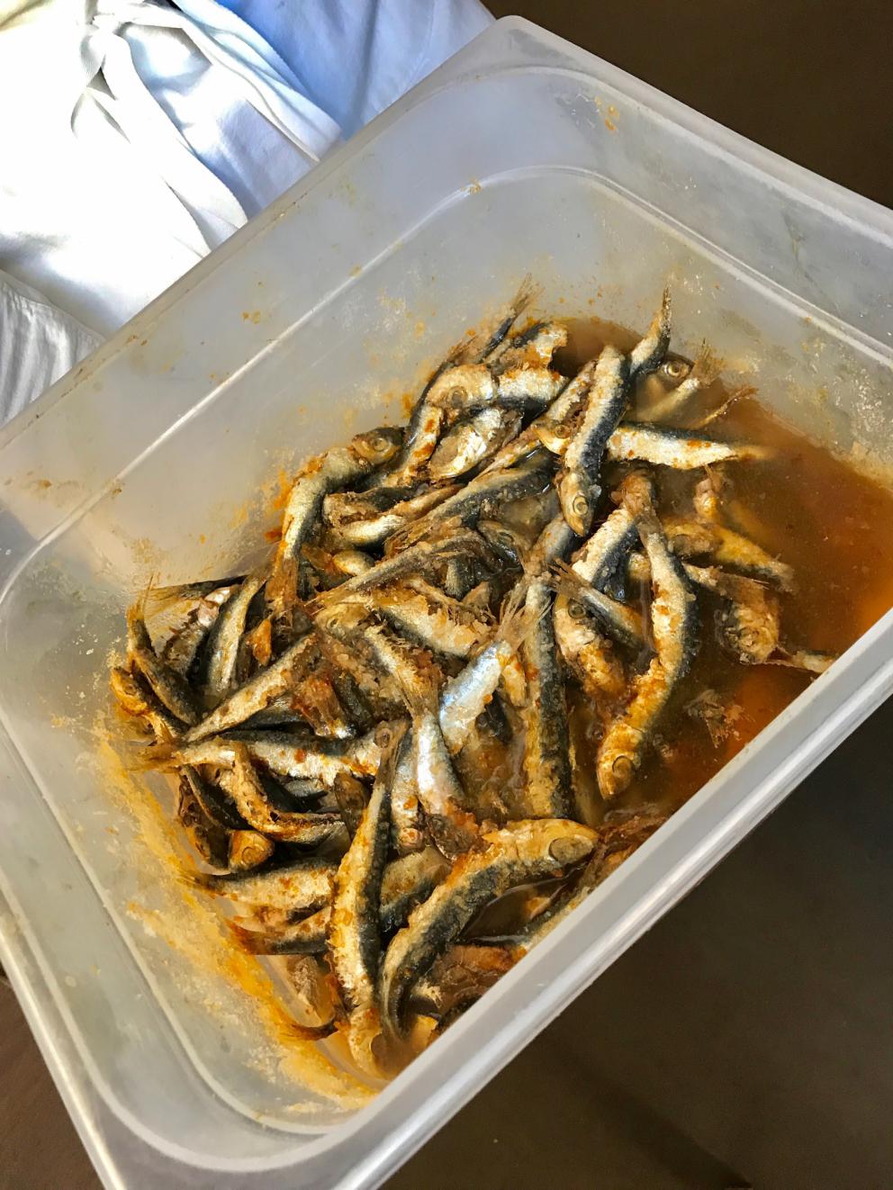 Galleria fotografica






Si inizia con pane da grano 100% Senatore Cappelli, poi crema d'olio evo di Coratina Muraglia e lardo









Gioco di appetizer









Oliva di Cerignola e vermuth, Fragola e Campari









Pancake di patate e lardo affumicato









Bigné al formaggio erborinato, crema di rucola e aceto di vino rosso









Toast di pane alla crema di ricotta forte e garum di sgombro









Ravanello, aceto di fruti rossi, semi di girasole e cumino









Patata e paté di fegato di piccione









Formaggio fresco di capra









Cipolla cotta in forno, lampascioni, ribes nero, perle di aceto balsamico, olio al porro, tapioca e sambuco









Indivia al forno, mela verde, crema di mandorle, bergamotto, limone gratuggiato









Tarte alle vongole e asparagi...









...con asparagi schiacciati al'olio di cerfoglio e limone









«Non proponiamo risotti né paste fresche»: Lenticchie di Zollino e cocco, infuso di aromi









Linguine Monograno Felicetti, latte di pistacchio e liquamen: ossia il liquido di fermentazione che si ottiene dalla produzione del garum









Floriano Pellegrino e il garum






