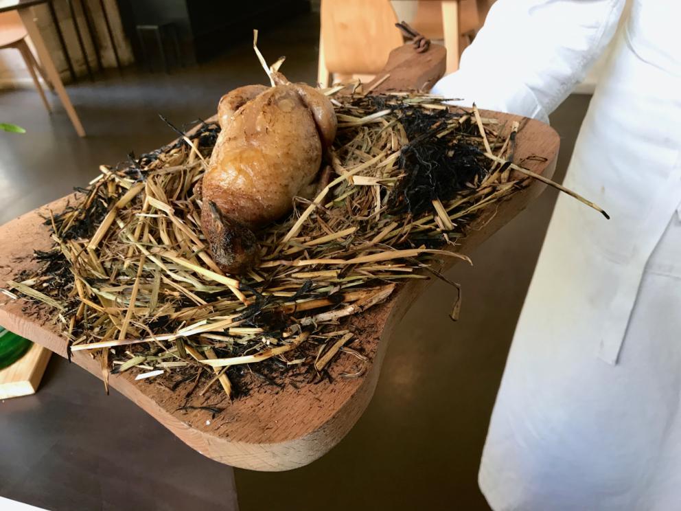 Galleria fotografica






Si inizia con pane da grano 100% Senatore Cappelli, poi crema d'olio evo di Coratina Muraglia e lardo









Gioco di appetizer









Oliva di Cerignola e vermuth, Fragola e Campari









Pancake di patate e lardo affumicato









Bigné al formaggio erborinato, crema di rucola e aceto di vino rosso









Toast di pane alla crema di ricotta forte e garum di sgombro









Ravanello, aceto di fruti rossi, semi di girasole e cumino









Patata e paté di fegato di piccione









Formaggio fresco di capra









Cipolla cotta in forno, lampascioni, ribes nero, perle di aceto balsamico, olio al porro, tapioca e sambuco









Indivia al forno, mela verde, crema di mandorle, bergamotto, limone gratuggiato









Tarte alle vongole e asparagi...









...con asparagi schiacciati al'olio di cerfoglio e limone









«Non proponiamo risotti né paste fresche»: Lenticchie di Zollino e cocco, infuso di aromi









Linguine Monograno Felicetti, latte di pistacchio e liquamen: ossia il liquido di fermentazione che si ottiene dalla produzione del garum









Floriano Pellegrino e il garum














Isabella Potì serve la Rana pescatrice al BBQ, laccata con aceto balsamico, salsa alle nocciole, nocciole tostate, olio all'aglio









La rana pescatrice









Di nuovo Isabella Potì, questa volta con la quaglia...






