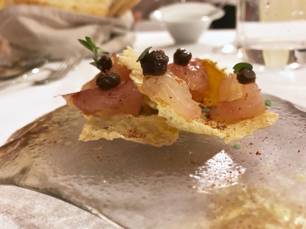 Galleria fotografica



