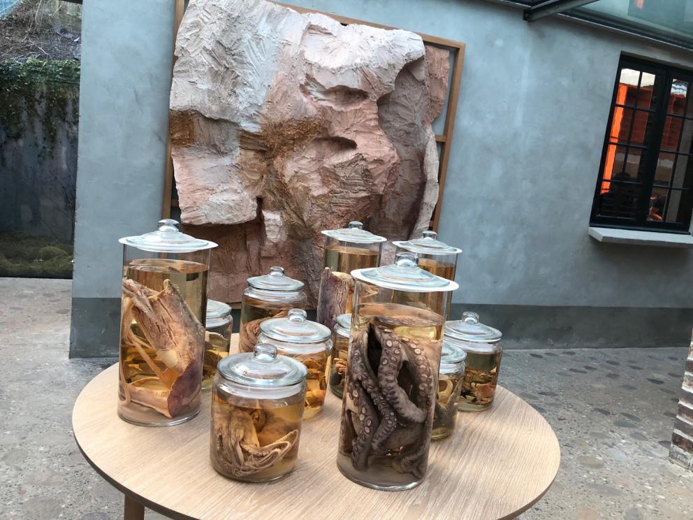 Photogallery






Noma 2.0 is in Christianshavn, the same neighbourhood as the first Noma. They’re 1.5 km apart, a 15 minutes’ walk. This picture shows the distance: to the right, there’s the warehouse of the old location (in Strandgade 93), to the left the smokestacks of Amager Bakke, the futuristic incinerator below which stands the new Noma (in Refshalevej 96)









Weather permitting, you can have a peaceful walk between the previous Noma to today’s Noma 









The new Noma is on an isthmus surrounded by canals. In the future they also want to reclaim some small parts for hydroponic farming









Bucolic scene with incinerator









Bikes left outside Noma. It’s the favourite means of transport among employees and interns









The long path taking you to the restaurant. The fence on the left shows how works are still in progress









On the two sides of the path there are the two new sections of the "Noma village", each with its specialty: grill, hot dishes, snacks, fermentations... In one month’s time, behind the fence we’ll have greenhouses, the test kitchen and the bread making area









To the left, before arriving at the restaurant, the future test kitchen. This will be run by Danish Mette Søberg with Riccardo Canella. "My first challenge?", reveals the latter, for a long time sous chef here, "is to work on the extraction of essential oils" 









The future Test Kitchen









The temporary gangway to the restaurant









Looking from the door to the restaurant, there’s a lake and the smokestacks puffing vapour from the Amager Bakke incinerator. It’s a futuristic project, both in terms of sustainability and architecture. It’s also known as Amager Slope or Copenhill, and its author is starchitect Bjarke Ingels, the same who designed the new Noma. Gradually opened in 2017, it transforms waste into electricity. The goal is to donate electricity to 62500 houses and hot water to 160000. It’s part of an ambitious project to transform Copenhagen into the first city in the world in terms of zero carbon dioxide emissions by 2025. By autumn this year, Amager Slope should open its ski slope, a climbing wall and a hiking track. You’ll be able to slalom on top of the incinerator









The windows from the dining room









Work is still in progress (photo taken on Thursday 22nd February 2018)









Traces of the old building, with barbwire. During WWII, they built bombs here









A view of the dining room at night (photo from Instagram/James Spreadbury)









The entrance to the restaurant









The usual ritual: a welcome from the entire staff, led by Rene Redzepi 






