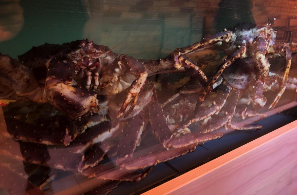 Photogallery






Noma 2.0 is in Christianshavn, the same neighbourhood as the first Noma. They’re 1.5 km apart, a 15 minutes’ walk. This picture shows the distance: to the right, there’s the warehouse of the old location (in Strandgade 93), to the left the smokestacks of Amager Bakke, the futuristic incinerator below which stands the new Noma (in Refshalevej 96)









Weather permitting, you can have a peaceful walk between the previous Noma to today’s Noma 









The new Noma is on an isthmus surrounded by canals. In the future they also want to reclaim some small parts for hydroponic farming









Bucolic scene with incinerator









Bikes left outside Noma. It’s the favourite means of transport among employees and interns









The long path taking you to the restaurant. The fence on the left shows how works are still in progress









On the two sides of the path there are the two new sections of the "Noma village", each with its specialty: grill, hot dishes, snacks, fermentations... In one month’s time, behind the fence we’ll have greenhouses, the test kitchen and the bread making area









To the left, before arriving at the restaurant, the future test kitchen. This will be run by Danish Mette Søberg with Riccardo Canella. "My first challenge?", reveals the latter, for a long time sous chef here, "is to work on the extraction of essential oils" 









The future Test Kitchen









The temporary gangway to the restaurant









Looking from the door to the restaurant, there’s a lake and the smokestacks puffing vapour from the Amager Bakke incinerator. It’s a futuristic project, both in terms of sustainability and architecture. It’s also known as Amager Slope or Copenhill, and its author is starchitect Bjarke Ingels, the same who designed the new Noma. Gradually opened in 2017, it transforms waste into electricity. The goal is to donate electricity to 62500 houses and hot water to 160000. It’s part of an ambitious project to transform Copenhagen into the first city in the world in terms of zero carbon dioxide emissions by 2025. By autumn this year, Amager Slope should open its ski slope, a climbing wall and a hiking track. You’ll be able to slalom on top of the incinerator









The windows from the dining room









Work is still in progress (photo taken on Thursday 22nd February 2018)









Traces of the old building, with barbwire. During WWII, they built bombs here









A view of the dining room at night (photo from Instagram/James Spreadbury)









The entrance to the restaurant









The usual ritual: a welcome from the entire staff, led by Rene Redzepi 









Behind the entrance, there are formaldehyde tanks with creatures from the abyss, shaped as in Damien Hirst’s works. The first image once you’re inside is to reproduce a Scandinavian village









The service kitchen is larger, more spacious and a completely open view from the dining room: "It’s the heart of our Scandinavian village", says Canella. There are 30 cooks working here now. 10 more, compared to the previous Noma









Large skylights above the cooks









There are currently more than 100 people working at Noma, of whom 63 are cooks - 26 employed, and 37 as interns









There’s fire in the kitchen, for the first time









On average, the dining room can host 40 people. "However", complains Redzepi, "there’s always someone who turns up with more people than the ones booked"









While the dining room is set, the outside space still need to be defined









The staff made the dining room decorations. There are no overly expensive designer objects









Dried fish









Seaweeds hanging from the ceiling









Dried octopus heads preserved in salt (with a balloon inside)














Bjarke Ingels and Redzepi’s plan included the wish to recreate a Danish farm









The luminous private dining room









The counter in the dining room. They drew the beams from the canals around the restaurant














The mise en place, bare and strictly without tablecloths









Water jug, candle, flower vase









A warm cloth, to begin with









Australian James Spreadbury, restaurant manager and partner at Noma









Welcome drink: Champagne extra brut Blanc d'Argile from Domaine Vouette et Sorbée









Sea Snail broth. The welcome dish at Noma is, as usual, a hot “soup”









Stefano Ferrano, from Torino, presents the following dish. There’s always a large Italian colony at Noma









Venus clams. Molluscs from Limfjord (Denmark) mixed with decorative clams, typical of Noma. Beside them, shells with blackcurrant oil and “Danish curry”, made with toasted coriander seeds, fennel and fennel seeds









The lid above the following dish. The mussels are not edible









Best of the mussel. Mussels open in a pan with water of fermented barley. «We recreate the mussel», says Canella, «using just the flaps, the best part». The paste is made with scraps from the mussel, cooked in smoked butter









The next dish is conceived and served by Riccardo Canella, the Paduan sous chef who conquered Redzepi, here with dining room intern Feline Hansen









Dried fruits and shrimps. In this case, the heads are not a decoration, but you must suck them –best not eat them because of the bones: they’re filled with a lovely prawn cream. The small crustaceans are still alive when they arrive on a ship straight from the Norwegian fjords









Inside, under the prawn broth skin, there’s fruits and vegetable preserved from the previous summer with raw prawns and gooseberry sauce with blackcurrant oil









How about beverages? There are three options, as usual: wine pairing (6 glasses plus a beer plus sake, 150 euros), juice pairing (juices and extracts, 110 euros) or a choice from the list. They recommend Champagne Chut... Libre from Val'Frison pour Dominique Derain, 50% Pinot Noir, 50% Chardonnay created by a couple who met at the old Noma. Well bodied, it will be a good match throughout the meal









As usual, the wine list starts with Champagne: the cheapest is 1400 crowns (190 euros)









White wines begin with labels from cold climates: first Austria, increasingly popular for its natural wines, then Germany, then all the others









How about Italy? Few names, among the white wines, from North and South









A dozen red/orange wines









Sea star, that is to say Cured trout roe and eggs, the emblem dish of this new era. They recommend moving the teaspoon from the heart to the edges of the tentacles. Aesthetics win over taste









Jellyfish. The jellyfish gel in the middle is in fact a clarified broth of calamari and recalls the texture of jellyfish. "We tried to cook jellyfish in 300 different ways but none was convincing so far". All around, pickled seaweed. The gel is almost tasteless, it serves to clean the palate after the pickles









Rene Redzepi himself presents the content of the first Seafood platter.









French style service with a small plate below for the empty shells









It’s made of two (per two) pieces: queen clam and mahogany clam









The Queen Clam is a very small variety of Norwegian scallop, seasoned with a vegetal reduction made with cucumber and peas miso. The red tip is the coral. "You should eat it using the top shell ", recommends Redzepi









The Mahogany clam is a centennial clam from the North Sea, very popular in Denmark and Iceland. «You can tell the age by the number of rings, like with trees», says Redzepi, «In 2007 they found one that was 450 years old. We’ve had it in the menu for a decade or so». The razor clam shell serves as teaspoon









Inside, there’s obviously not just a bare Mahogany. «We open it when the client arrives», says Canella, «remove the entrails and then slice it so as to preserve its firm texture». It’s seasoned with stir-fried gooseberry, capers of blackcurrants and blackcurrant sprouts preserved in vinegar. The sauce is made with mussel water









A note on the chairs: they’re more minimalistic. They’re no longer covered in sheepskin or leather from other Danish animals, in the style of Noma 1.0. The most significant element is the napkin: if you go to the toilet, they no longer replace it with a new one. There’s the old one, tied to the chair. "This is sustainability", they explain









The second seafood platter. It’s made of Sea cucumber and sour cream in various textures, including «chicharrones» (at 9 o’clock), sea urchins (at 12 and 3) and gigas oyster (at 6)









Sea urchins pressed in fresh cream and pumpkin seeds









Giga Oyster, a huge oyster from the Pacific, quickly steamed and garnished with pickles. Noma only reserved one thousand of these. In the menu until available









The following dish, off the menu, is again from Canella: horse mussel ragout, rare specimen of which 30 arrive at 'Noma each week









They cook the mussel as if it were kidney, in a sort of Bolognese sauce but with ginger. Ginger? "Yes, we’ve decided to include it, as with other spices, after our Mexican experience"









Another Italian presents a dish, Edoardo Fiaschi from Prato, at Noma for 3 years now









Squid in seaweed butter. An almost neglected Danish squid lightly seared in fermented koji oil, rolled and seasoned with seaweed butter and served on sticks of blackcurrant that widen its aromas. Formidable and beautiful









The following dish is inside a nice bee wax container. It’s made with balloons covered multiple times in bee wax. «We spent weeks making them. We’ve made thousands». They’re disposable...









Sea snail and roses. They recommend to: "Eat it keeping the bee wax on your hands "









Sea snail. Another small nibble from the top part of the sea snail, lightly warmed up in water and served on a reduction of lemon thyme









A sea snail toothpick, initially carved by Redzepi himself









Head of the cod, (right), the real main course at Noma









Another rather laborious recipe. «It takes half an hour just to separate the head. We remove the skin, the collagen, we cut mandibles, tongue, cheek and the part behind. We rinse it in water, spices, koji and cook it in the yakitori with a glaze of mushrooms and spiced fennel broth»









You can garnish the cod as you choose, with a paste of ants (top right corner), a slightly spicy emulsion of koji oil, water and horseradish sauce (left) and Danish curry (bottom)









On the side of the cod, there’s also wild garlic seasoned with smoked butter and roasted yeast. Intense flavour









Cod bones after the tasting









An interlocutory snack made of cod cheek









Pickled vegetables and arctic herbs. The only vegetable dish in the menu, marks the passage from savoury to sweet dishes. Between June and August 2018 the menu at Noma will be 100% vegetarian









Preparation time: half an hour! A challenge for the person making it









Mussels appear once again, a classic emblem









This time it’s a dessert in the shape of a small sandwich. Pear and roasted kelp ice cream 









Cloudberries and pinecones. A dessert that continues Redzepi’s saga of unsweet sweets: cloudberries, pinecones preserved in sugar, yogurt snow (by Italian Jessica Natali) and a sea snail made with cloudberry sorbet









Filtered coffee made with stolen kenyoti seeds farmed in Honduras by a Norwegian guy. Italian sommelier Francesca Niro tells us this story. «In Denmark», she says, «coffee is not a final act»









Sugar kelp tart. Tartelletta di alga kelp con pralinato di pino (sul modello di quello di mandorle, autore Canella), panna e crisp di ostrica









Sugar kelp tart. Jessica Natali, 23, from the March, has been at Noma for 4 years now









Natali introduces the last dish, Plankton cake









It’s Redzepi’s tribute to Andalusian chef Angel Leon, the chef who brought the abyss of the sea on fine dining tables. A final trivia fact at the end of the meal: we were never served bread, a historic strongpoint at Noma. "There’s no need for bread in this menu", said Redzepi









With Canella we walk the very long corridor that starts from the opposite side of the room, right after the entrance









It’s the rationalised and enlarged equivalent of the previous Noma’s first floor. Dozens of guys are making the pre-preparations









Canella with Ali Sonko, Noma’s famous kitchen hand from Gambia who then became partner









Sea cucumbers and huge Artic crabs swim in the water tanks






