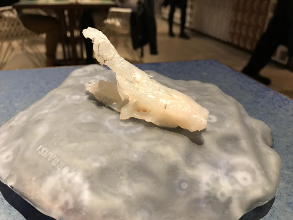 Galleria fotografica






L'inizio di un percorso meraviglioso: Lengua helada de pasión con ron, ossia una lingua di gatto gelata al rum, frutto della passione e menta piperita. Inizia il gioco di temperature









Rosa & lichis: poesia pura. Sferificazioni di acqua di rose (sui petali laterali) e finta mora ghiacciata di lichi









La remolacha que sale de tierra: insieme sorbetto e meringa di barbabietola









Panchino relleno de caviar beluga: uno dei piatti signature del Disfrutar. Si prepara una pasta per brioche con molta acqua e lievito. Viene collocata in un sifone e si ottiene una schiuma. Quindi si riempie il fondo di uno stampo circolare con questa schiuma, si aggiunge il caviale e una crema doppia panna, quindi ancora schiuma per coprire il tutto. Si immerge in una padella con olio a 180 gradi per 20 secondi. Ovviamente il caviale può essere sostituito da formaggi, tonno, sorbetti...









La preparazione al tavolo del Sidra casera ahumada al momento, un sidro di mele istantaneo: si versa sul ghiaccio secco una mistura di liquore e succo di mela e si lascia agire









Inizia il tributo alle noci. Qui il gheriglio, ricostruito, custodisce un quarto di noce, affumicata. E deliziosa. In pratica il guscio è stato aperto, senza romperlo; la noce è stata affumicata, poi rimessa al suo posto, il tutto richiuso









Ancora Cáscara de nuez: qui è un tripudio. Una noce tenera, senza pelle, l'altra verde col gheriglio e resa commestibile, infine l'ultima cotta e macerata nel ratafià, come abbiamo già spiegato nel pezzo. Il tutto con un filo di latte di noce e di olio di frutta secca. L'idea è: con un prodotto possiamo costruire all'infinito









Candy salado de nueces con mango, haba tonka y whisky: la bustina commestibile contiene caramello salato e noci, quindi il mango crudo e il profumo del whisky affumicato









Milhojas de idiazábal, millefoglie di idiazábal, un formaggio basco. Sterzata salata dopo una prima parte di degustazione in cui prevalevano le note dolci (a esaltare anche il caviale del Panchino). In generale, sono tutti piatti che superano la tradizionale distinzione dolce/salato









"Hostia" de flor del mandarino: la finta ostia è di ovulato, racchiude essenza di fiore di mandarino. Un piatto che colpisce il cuore









La Gilda del Disfrutar. La gilda è il classico pincho che si serve nei Paesi Baschi, a base di olive e acciughe. Qui abbiamo le celebri false olive di Adrià, croccanti fuori (burro di cacao) e liquide all'interno. Poi sgombro marinato, semi di pepe basco e la loro crema









Sandwich de gazpacho con guarnición olorosa de vinagre de Jerez: qui il falso pane ghiacciato (sono meringhe di pomodoro secco) racchiude una farcitura in cui emergono le note acide e aromatiche dell'aceto di Jerez a esaltare il classico aroma del gazpacho andaluso









Almendras "supertiernas" en vinagreta: al Disfrutar giocano molto con la frutta secca, qui mandorle ammorbidite o croccanti e accompagnate da aromi di vaniglia, aglio, olio, vinaigrette... Altro capolavoro









Yema de huevo crujiente con gelatina caliente de setas: una crema d'uovo in tempura, croccante fuori e liquida dentro, sopra un gel di funghi racchiuso nel guscio dell'uovo stesso. «Per noi è un classico - ci dicono - Ma sempre molto difficile da gestire»









Piatto spettacolare e gentile, Tatin de foie-gras y maíz multiesférico: tutto giocato su un equilibrio in cui le note dolci sono spinte al limite. La tecnica è quella della multisferificazione, con gel di glutammato a chiudere la partita









Ceviche en deconstrucción: leche de tigre, emulsione di pesce, olio di coriandolo e sorbetto di zucca e ajì. Un classico del Disfrutar

 






