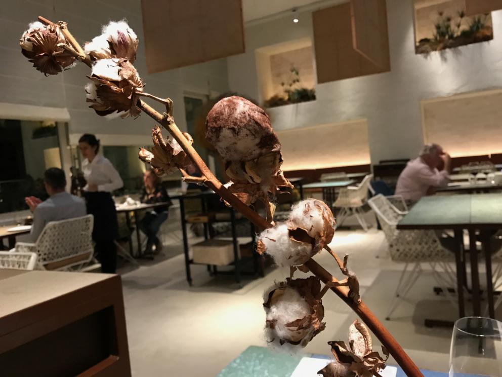 Galleria fotografica






L'inizio di un percorso meraviglioso: Lengua helada de pasión con ron, ossia una lingua di gatto gelata al rum, frutto della passione e menta piperita. Inizia il gioco di temperature









Rosa & lichis: poesia pura. Sferificazioni di acqua di rose (sui petali laterali) e finta mora ghiacciata di lichi









La remolacha que sale de tierra: insieme sorbetto e meringa di barbabietola









Panchino relleno de caviar beluga: uno dei piatti signature del Disfrutar. Si prepara una pasta per brioche con molta acqua e lievito. Viene collocata in un sifone e si ottiene una schiuma. Quindi si riempie il fondo di uno stampo circolare con questa schiuma, si aggiunge il caviale e una crema doppia panna, quindi ancora schiuma per coprire il tutto. Si immerge in una padella con olio a 180 gradi per 20 secondi. Ovviamente il caviale può essere sostituito da formaggi, tonno, sorbetti...









La preparazione al tavolo del Sidra casera ahumada al momento, un sidro di mele istantaneo: si versa sul ghiaccio secco una mistura di liquore e succo di mela e si lascia agire









Inizia il tributo alle noci. Qui il gheriglio, ricostruito, custodisce un quarto di noce, affumicata. E deliziosa. In pratica il guscio è stato aperto, senza romperlo; la noce è stata affumicata, poi rimessa al suo posto, il tutto richiuso









Ancora Cáscara de nuez: qui è un tripudio. Una noce tenera, senza pelle, l'altra verde col gheriglio e resa commestibile, infine l'ultima cotta e macerata nel ratafià, come abbiamo già spiegato nel pezzo. Il tutto con un filo di latte di noce e di olio di frutta secca. L'idea è: con un prodotto possiamo costruire all'infinito









Candy salado de nueces con mango, haba tonka y whisky: la bustina commestibile contiene caramello salato e noci, quindi il mango crudo e il profumo del whisky affumicato









Milhojas de idiazábal, millefoglie di idiazábal, un formaggio basco. Sterzata salata dopo una prima parte di degustazione in cui prevalevano le note dolci (a esaltare anche il caviale del Panchino). In generale, sono tutti piatti che superano la tradizionale distinzione dolce/salato









"Hostia" de flor del mandarino: la finta ostia è di ovulato, racchiude essenza di fiore di mandarino. Un piatto che colpisce il cuore









La Gilda del Disfrutar. La gilda è il classico pincho che si serve nei Paesi Baschi, a base di olive e acciughe. Qui abbiamo le celebri false olive di Adrià, croccanti fuori (burro di cacao) e liquide all'interno. Poi sgombro marinato, semi di pepe basco e la loro crema









Sandwich de gazpacho con guarnición olorosa de vinagre de Jerez: qui il falso pane ghiacciato (sono meringhe di pomodoro secco) racchiude una farcitura in cui emergono le note acide e aromatiche dell'aceto di Jerez a esaltare il classico aroma del gazpacho andaluso









Almendras "supertiernas" en vinagreta: al Disfrutar giocano molto con la frutta secca, qui mandorle ammorbidite o croccanti e accompagnate da aromi di vaniglia, aglio, olio, vinaigrette... Altro capolavoro









Yema de huevo crujiente con gelatina caliente de setas: una crema d'uovo in tempura, croccante fuori e liquida dentro, sopra un gel di funghi racchiuso nel guscio dell'uovo stesso. «Per noi è un classico - ci dicono - Ma sempre molto difficile da gestire»









Piatto spettacolare e gentile, Tatin de foie-gras y maíz multiesférico: tutto giocato su un equilibrio in cui le note dolci sono spinte al limite. La tecnica è quella della multisferificazione, con gel di glutammato a chiudere la partita









Ceviche en deconstrucción: leche de tigre, emulsione di pesce, olio di coriandolo e sorbetto di zucca e ajì. Un classico del Disfrutar

 









Questa è la cartilagine del muso del salmone...









...protagonista di quest'altro piatto, nuovissimo: il collagene del muso del salmone con le sue uova e salsa di acetosella. Wow!









Altra novità, presentata a Gastronomika, è la Costilla de salmón con mojo di estragón. Le costolette di salmone, ottenute una a una sfilettando con attenzione le lische con la polpa attorno, sono accompagnate da mojo di dragoncello e uova di salmone









Conserva de navajas a la sal: le navajas sono state lasciate macerare per un giorno con alghe nel frigorifero, poi 5 minuti al forno. Sono molluschi chiamati "guscio rasoio", tassonomicamente Ensis arcuatus, simili ai cannolicchi. Qui con olio e aceto di Jerez 25 anni









Ensalada líquida, non serve traduzione...









...accompagnata da Polvorón de tomate y caviaroli de arbequina. Il polvorón è un classico dolce spagnolo di Natale, molto friabile, in genere fatto di farina, zucchero, latte e mandorle. Qui è di pomodoro e accompagnato da caviaroli di oliva arbequina: il Caviaroli è di una ditta catalana che sferifica varie tipologie di olio evo, anche aromatizzato, ce n'è anche una a base di tartufo Tartuflanghe









Tre piatti che raccontano il suquet, tipica salsa a base di pesce. Qui Noodles de espardeñas (le rare “lingue di mare”, in tassonomia stichopus regalis) en suquet









Langostino (ossia gamberone) en suquet, con gnocchi di patata, aria di prezzemolo, crema di zafferano e patata. Sul fondo si vede anche il Capucchino de suquet









Finale salato a base di piccione: qui il suo consommé con armagnac, dragoncello e arancia









Bombon di piccione e foie e foglia d'argento









Laksa de pichón. La laksa è una popolare zuppa di Singapore, speziata, con cocco, lime e citronella. Qui ccon riduzione di piccione e fideuà









Pichón Pibil con abrigo de màiz y trufa de verano: il pibil è una cottura tradizionale maya, sotto la cenere. Il piccione è coperto da un "cappotto" nero (abrigo) di mais e accompagnato da tartufo









La parte dolce-dolce inizia col Pandan, «l'idea viene dalla Malaysia»: sorbetto di mango con caviale di mango, spugna e infusione di pandan (una pianta asiatica dalla quale si ricavano foglie aromatiche) e cocco









Cornete de sésamo negro









Cerezas 2017. Ciliegie con la stessa tecnica delle olive









Tarta al whisky scomposta, è un Lagavulin 16 anni, con crema di uovo caramelizzata, crema chantilly e vaniglia









Brazo de gitano de café






