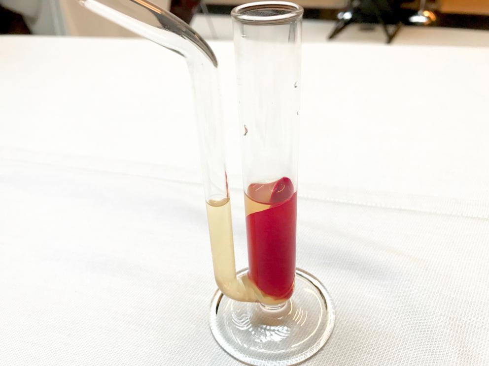 Galleria fotografica






La mappa storico-gastronomica che concettualizza la proposta del Sucede









Il nostro pranzo al Sucede. Si inizia con El huevo y la manzana, ossia uovo e mela, due elementi tipici dei Saturnali romani









Uva gasificada, ossia uva gassata. Si accompagna col latino mursum, un succo d'uva fermentato, non alcolico, con miele (qui aria di miele)









Inizia il banchetto romano vero e proprio. Dentelle de salazones, un cracker di uova di riccio di mare in salagione, più erbe e fiori. Buonissimo. Il dentelle è il merletto









La fritura de la sardina. la sardina è fritta senza olio, nel mannitolo









Mejillón ojimiel, ossia cozza con aceto e miele









Delizioso il Pan de higos, pane di fichi con trota e caviale di trota, a parte









Ostra con holandesa de garum, ostrica con salsa olandese di garum. Piatto elegantissimo









Merengue de erizo, meringa di ricci di mare









Si compone così il banchetto romano









Parte una sorta di focus sull'anguilla e i ceci. Qui uno snack, Pieles de garbanzo, ossia pelle di ceci









Infusión de anguila y garbanzo, infusione di anguilla e ceci









Ottima la Tartaleta de anguila, tartelletta di ceci verdi con anguilla e sferificazione di Merlot









Anguila al azafrán, ossia filetto di anguilla con zafferano e schiuma di agrumi









Anguila y garbanzo verde, ossia una stratosferica crema di anguilla e ceci verdi, non secchi









Tartaleta de tuétano, ossia tortino di midollo, un cracker di noci macadamia con midollo grattugiato e frutti rossi









Tuétano silvestre, midollo selvaggio: un flan di midollo con tartufo, funghi e crema di castagne









Altro passaggio, Cartílago, trufa y altramuces, ossia cartilagine, tartufo e lupino. La cartilagine è di maiale, c'è la sua demi-glace, poi lupini e sferificazione di tartufo
 









Liebre y encurtidos, lepre e sottaceti: un bel filetto di lepre con melanzane e cipolle sottaceto, sfere di olio e crema di aglio nero









Paloma con pistachos, colomba con pistacchi: gran piatto, i pistacchi sono in tre texture (cotti in crema, crudi e pralinati). Forti note tostate, anche in questo caso si gioca sul superamento delle barriere tra dolce e salato, come nei piatti precedenti









Consomé de tórtola e Tórtola al romero, quindi consommé di tortora e tortora affumicata al rosmarino. Piatto perfetto, goloso, elegante, di grandissima classe






