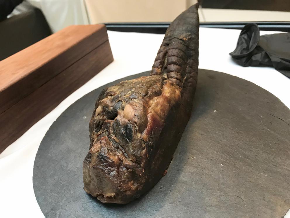 Galleria fotografica






La mappa storico-gastronomica che concettualizza la proposta del Sucede









Il nostro pranzo al Sucede. Si inizia con El huevo y la manzana, ossia uovo e mela, due elementi tipici dei Saturnali romani









Uva gasificada, ossia uva gassata. Si accompagna col latino mursum, un succo d'uva fermentato, non alcolico, con miele (qui aria di miele)









Inizia il banchetto romano vero e proprio. Dentelle de salazones, un cracker di uova di riccio di mare in salagione, più erbe e fiori. Buonissimo. Il dentelle è il merletto









La fritura de la sardina. la sardina è fritta senza olio, nel mannitolo









Mejillón ojimiel, ossia cozza con aceto e miele









Delizioso il Pan de higos, pane di fichi con trota e caviale di trota, a parte









Ostra con holandesa de garum, ostrica con salsa olandese di garum. Piatto elegantissimo









Merengue de erizo, meringa di ricci di mare









Si compone così il banchetto romano









Parte una sorta di focus sull'anguilla e i ceci. Qui uno snack, Pieles de garbanzo, ossia pelle di ceci









Infusión de anguila y garbanzo, infusione di anguilla e ceci









Ottima la Tartaleta de anguila, tartelletta di ceci verdi con anguilla e sferificazione di Merlot









Anguila al azafrán, ossia filetto di anguilla con zafferano e schiuma di agrumi









Anguila y garbanzo verde, ossia una stratosferica crema di anguilla e ceci verdi, non secchi









Tartaleta de tuétano, ossia tortino di midollo, un cracker di noci macadamia con midollo grattugiato e frutti rossi









Tuétano silvestre, midollo selvaggio: un flan di midollo con tartufo, funghi e crema di castagne









Altro passaggio, Cartílago, trufa y altramuces, ossia cartilagine, tartufo e lupino. La cartilagine è di maiale, c'è la sua demi-glace, poi lupini e sferificazione di tartufo
 









Liebre y encurtidos, lepre e sottaceti: un bel filetto di lepre con melanzane e cipolle sottaceto, sfere di olio e crema di aglio nero









Paloma con pistachos, colomba con pistacchi: gran piatto, i pistacchi sono in tre texture (cotti in crema, crudi e pralinati). Forti note tostate, anche in questo caso si gioca sul superamento delle barriere tra dolce e salato, come nei piatti precedenti









Consomé de tórtola e Tórtola al romero, quindi consommé di tortora e tortora affumicata al rosmarino. Piatto perfetto, goloso, elegante, di grandissima classe









Inzia la parte araba del menu, con Agua de dátil y rosas, acqua di datteri e rose. Richiama il carcadè che veniva offerto in segno di benvenuto









Flor de hibiscus, fiore di ibisco, con polpa di barbabietola e broccoli









Vol au vent de hibiscus y lentejas, vol au vent di ibisco, crema di lenticchie e raviolo di miele









Lentejas caviar y caracoles, ossia lenticchie, una sfera di brodo di lenticchie e caviale di lumaca. Buonissimo









A parte, un Consommé di lumaca









Ñoquis de berenjena, gnocchi di melanzana con yogurt, cous cous di erbe, sfere di yogurt alla curcuma









Brocheta de cordero a la naranja, spiedino di agnello all'arancia









Tutta la parte dedicata al coniglio è di bontà clamorosa. Qui Oreja de conejo, orecchie di coniglio croccanti









Conejo mi-cuit, mi-cuit di fegato di coniglio









Forse il piatto più strepitoso, Lenguas de conejo, ossia lingue di coniglio (ma anche il suo cervello) con membrana di melone









Conejo melón, un brodo di coniglio e melone con pinoli e olive. Gran livello









Riñón de conejo, rognoncini di coniglio su foglie di cardamomo e melone






