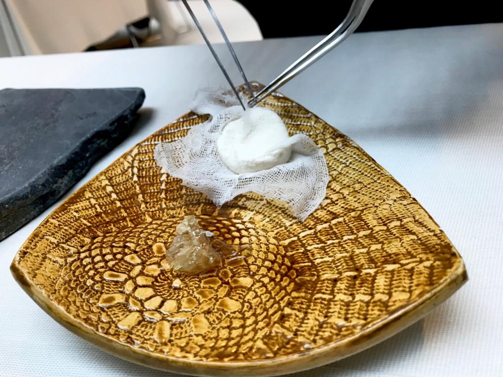 Galleria fotografica






La mappa storico-gastronomica che concettualizza la proposta del Sucede









Il nostro pranzo al Sucede. Si inizia con El huevo y la manzana, ossia uovo e mela, due elementi tipici dei Saturnali romani









Uva gasificada, ossia uva gassata. Si accompagna col latino mursum, un succo d'uva fermentato, non alcolico, con miele (qui aria di miele)









Inizia il banchetto romano vero e proprio. Dentelle de salazones, un cracker di uova di riccio di mare in salagione, più erbe e fiori. Buonissimo. Il dentelle è il merletto









La fritura de la sardina. la sardina è fritta senza olio, nel mannitolo









Mejillón ojimiel, ossia cozza con aceto e miele









Delizioso il Pan de higos, pane di fichi con trota e caviale di trota, a parte









Ostra con holandesa de garum, ostrica con salsa olandese di garum. Piatto elegantissimo









Merengue de erizo, meringa di ricci di mare









Si compone così il banchetto romano









Parte una sorta di focus sull'anguilla e i ceci. Qui uno snack, Pieles de garbanzo, ossia pelle di ceci









Infusión de anguila y garbanzo, infusione di anguilla e ceci









Ottima la Tartaleta de anguila, tartelletta di ceci verdi con anguilla e sferificazione di Merlot









Anguila al azafrán, ossia filetto di anguilla con zafferano e schiuma di agrumi









Anguila y garbanzo verde, ossia una stratosferica crema di anguilla e ceci verdi, non secchi









Tartaleta de tuétano, ossia tortino di midollo, un cracker di noci macadamia con midollo grattugiato e frutti rossi









Tuétano silvestre, midollo selvaggio: un flan di midollo con tartufo, funghi e crema di castagne









Altro passaggio, Cartílago, trufa y altramuces, ossia cartilagine, tartufo e lupino. La cartilagine è di maiale, c'è la sua demi-glace, poi lupini e sferificazione di tartufo
 









Liebre y encurtidos, lepre e sottaceti: un bel filetto di lepre con melanzane e cipolle sottaceto, sfere di olio e crema di aglio nero









Paloma con pistachos, colomba con pistacchi: gran piatto, i pistacchi sono in tre texture (cotti in crema, crudi e pralinati). Forti note tostate, anche in questo caso si gioca sul superamento delle barriere tra dolce e salato, come nei piatti precedenti









Consomé de tórtola e Tórtola al romero, quindi consommé di tortora e tortora affumicata al rosmarino. Piatto perfetto, goloso, elegante, di grandissima classe









Inzia la parte araba del menu, con Agua de dátil y rosas, acqua di datteri e rose. Richiama il carcadè che veniva offerto in segno di benvenuto









Flor de hibiscus, fiore di ibisco, con polpa di barbabietola e broccoli









Vol au vent de hibiscus y lentejas, vol au vent di ibisco, crema di lenticchie e raviolo di miele









Lentejas caviar y caracoles, ossia lenticchie, una sfera di brodo di lenticchie e caviale di lumaca. Buonissimo









A parte, un Consommé di lumaca









Ñoquis de berenjena, gnocchi di melanzana con yogurt, cous cous di erbe, sfere di yogurt alla curcuma









Brocheta de cordero a la naranja, spiedino di agnello all'arancia









Tutta la parte dedicata al coniglio è di bontà clamorosa. Qui Oreja de conejo, orecchie di coniglio croccanti









Conejo mi-cuit, mi-cuit di fegato di coniglio









Forse il piatto più strepitoso, Lenguas de conejo, ossia lingue di coniglio (ma anche il suo cervello) con membrana di melone









Conejo melón, un brodo di coniglio e melone con pinoli e olive. Gran livello









Riñón de conejo, rognoncini di coniglio su foglie di cardamomo e melone









Altra sezione: arriva al tavolo questa cosa, che è una lingua di vitello salata, stagionata e affumicata, come fosse un katsuobushi









Una fetta di lingua di vitello-katsuobushi finisce su una bistecca di vitello (invero un po' poco frollata): Ternera y lengua






