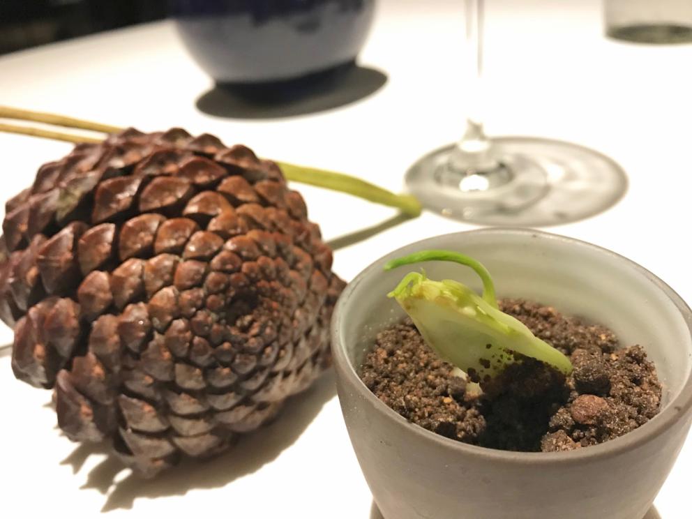 Galleria fotograficaS'inizia con un cocktail
Brodo&nbsp;di scorfano, mandorla affumicata, limone e olio al lardo&nbsp;con Pelle di scorfano essiccata, biscotto salato, finta mandorla di scorfano fresco
Gel di geranio odoroso, cialda di patata. Molto piacevole
Cialda di zuppa di cipolle, pecorino
Terrina di fegatini di pollo, cialda di creste e gel di mais
