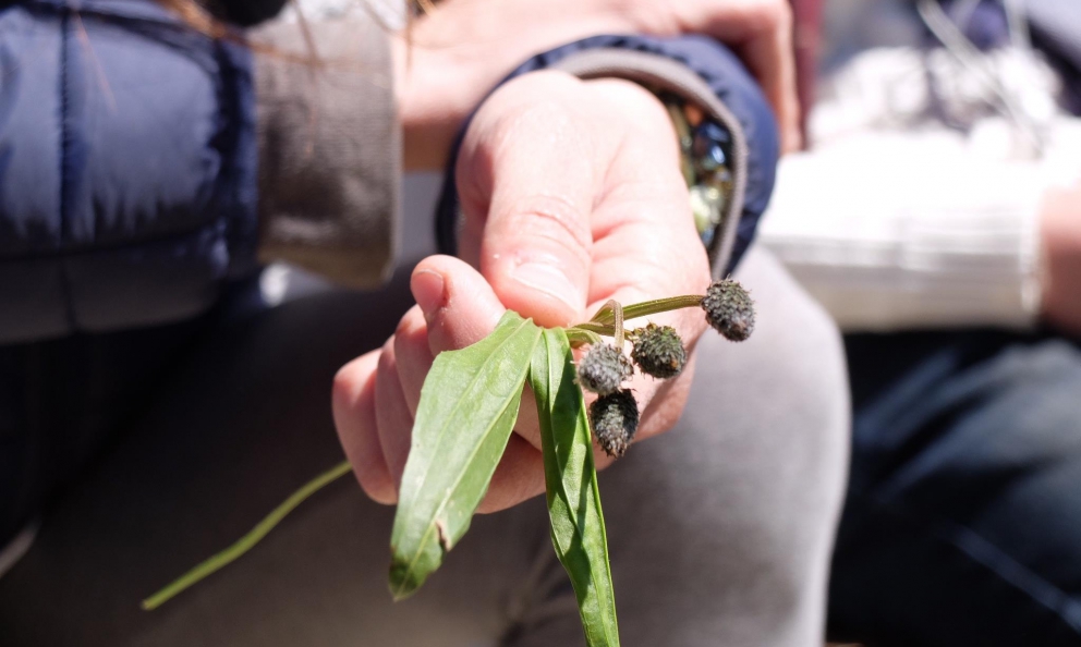 Tutti i sapori del foraging