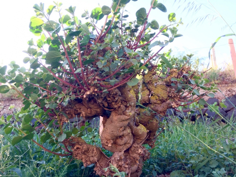 Galleria fotografica