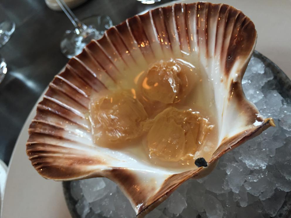 Photogallery






The traditional welcome at Noma: the chefs from the service kitchen greet the guests. In the middle, Italian Riccardo Canella, who will help us describing the last menu in detail (photo gallery by Luca Iaccarino and Gabriele Zanatta)









Warm broth of cloudberries. It’s the last welcome dish at Noma. It’s cold outside but as soon as you sit inside, you get warm thanks to this hot broth made with cloudberries enriched with rhubarb root oil. You dip a bouquet of hay, lemon thyme and mountain pine. Corroborating









Riccardo Canella brings a preview of what will follow









It’s a dish with seafood, including a huge (and alive) king crab, sea urchins and oysters









Apple of the season









Apple of the season. Once you open the shell, many small apple parisienne appear in a juice made with centrifuged, clarified apple scraps, seasoned with verbena and thyme. There’s also a purée of apples fermented in broth. The dish is finished with oxalis flowers, tagete and oil of blackcurrant wood, made by beating the blackcurrant branches with a hammer, so as to extract their essential oils. A very pleasant dish despite its complex idea.

"The first time I saw it ", added Canella, "I was struck because it reminded me of the stuffed apples they used to make at restaurant Bulesca in Selvazzano, Padua, in the early Eighties. Except in that case it was filled with rolls made with granny smith apple and prosciutto from Montagnana" 






