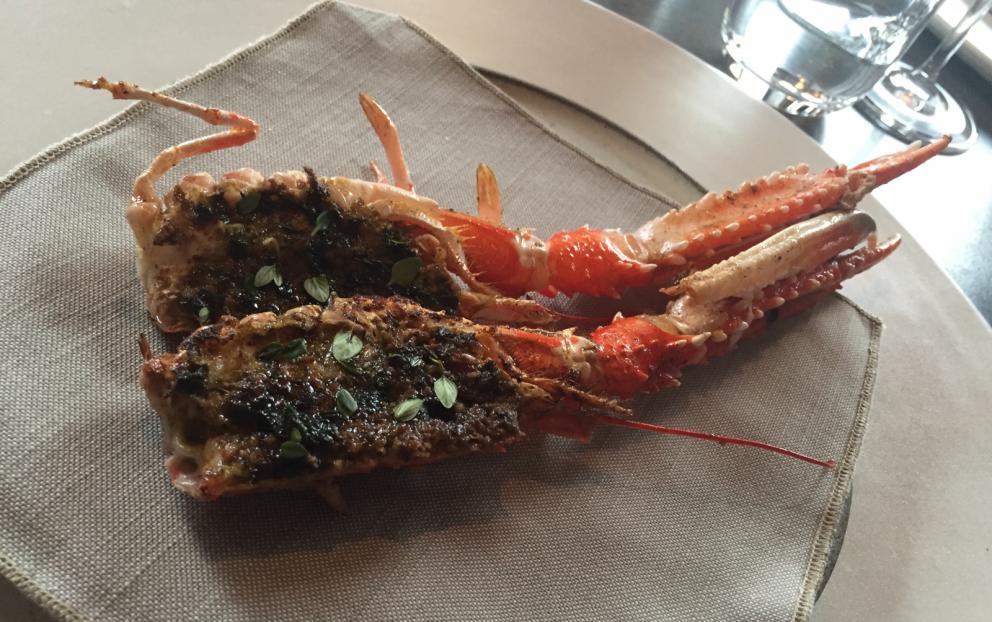 Photogallery






The traditional welcome at Noma: the chefs from the service kitchen greet the guests. In the middle, Italian Riccardo Canella, who will help us describing the last menu in detail (photo gallery by Luca Iaccarino and Gabriele Zanatta)









Warm broth of cloudberries. It’s the last welcome dish at Noma. It’s cold outside but as soon as you sit inside, you get warm thanks to this hot broth made with cloudberries enriched with rhubarb root oil. You dip a bouquet of hay, lemon thyme and mountain pine. Corroborating









Riccardo Canella brings a preview of what will follow









It’s a dish with seafood, including a huge (and alive) king crab, sea urchins and oysters









Apple of the season









Apple of the season. Once you open the shell, many small apple parisienne appear in a juice made with centrifuged, clarified apple scraps, seasoned with verbena and thyme. There’s also a purée of apples fermented in broth. The dish is finished with oxalis flowers, tagete and oil of blackcurrant wood, made by beating the blackcurrant branches with a hammer, so as to extract their essential oils. A very pleasant dish despite its complex idea.

"The first time I saw it ", added Canella, "I was struck because it reminded me of the stuffed apples they used to make at restaurant Bulesca in Selvazzano, Padua, in the early Eighties. Except in that case it was filled with rolls made with granny smith apple and prosciutto from Montagnana" 









Fresh sliced scallop. It’s a scallop taken from the fish tank and shelled a few moments before serving it. It is then sliced, brushed with a reduction of vegetable whipped butter with cucumber centrifuge juice, then reduced, and piso broth (that is to say miso with dehydrated peas).

The technique is the same used for the broth ice-clarification made famous in the Nineties by Heston Blumenthal at Fat Duck: you freeze the broth then hang a table cloth so as to obtain the “pure” part of the liquid. A trick that adds the same satisfying sensation of a meat jus to a vegetable broth. The scallop is finally dipped into a classic mussel broth. An incredible mouthful of seafood and umami









A Winter Platter. Hidden among the leaves, are four edible tastings









He sums up in just one dish 4 snacks that he might would have served separately a few years back. A fun and tasty idea. In detail:

At 6 o’clock: Pear pressed in fermented red gooseberry with fully ripe common sea buckthorn. It’s a rather tart ensemble made sweeter by piso (again miso made with dried peas) seasoned with coriander seeds (supplied by Redzepi’s historic supplier Soren Wiuff). The external thinner leaf is a peel made with chicken broth and beech leaves preserved in vinegar.

10 o'clock: crispy black currant leaf-shaped sandwich, seasoned with yogurt, kombucha, elderberry flowers and red oxalis 

12 o'clock: malt branch with nasturtium leaves, creme fraiche, salt aromatised with pine and ants

4 o'clock: black garlic leaf with salt aromatised with kelp, a Japanese seaweed 









A detail of the malt branch, with well visible ants. At Noma, the study of the aromatic contribution given by formic acid to dishes continues. And even the service acquires elegance: in the past you might have seen ants floating in a few dishes. This is no longer the case









A Tupperware from the "ant library", on the first floor at Strangade









Radish pie. It’s an emblem of the latest menus at Noma. It’s been in the menu for almost a year. In the crunchy disc on the bottom there’s kelp seaweed and a vegetable reduction made with coriander pesto. The radish roses (22, no more, no less) were pressed in beetroot juice. Another formidable tasting









Interns roll the radish roses together, on the top floor at Noma. Loud music and teamwork help making the job less alienating









Natural fermented bread of Øland wheat and hulless barley.  Øland wheat is Danish, with 83% hydration. “Nerd” bread maker Rasmus Kristensen is obsessed with it: even though it could last a week, he bakes it fresh every day for the two services (see the interview on Vice). It has a crispy yet soft crust, and it’s a great progress compared to the early bread making at the restaurant.

The salted butter is instead Norwegian Røros, according to some “the best butter in the world”. One of the most extraordinary pairings ever tasted. We asked for an encore









Cooked oyster and broccoli stems. The oyster is blanched for two minutes and placed on a shell with the edges powdered with salicornia. Between the broccoli and the oyster there are some diced stalks of sorrel. There’s a reduction with kelp seaweed, whisked with butter, thyme and “capers” made with white currants [they’re not real capers but the currants are preserved for a year in 2% salt, like capers). The sauce for the oyster is made with white gooseberries. An artwork, but less convincing than the other tastings









Sea urchin and cabbage. It’s a cabbage leaf pressed with hazelnut oil, filled with sea urchin roe and seasoned with pine vinegar, water from fermented porcini and pickled chanterelle mushrooms. On top, there’s parsley pesto and salt aromatised with pine. It’s a dish that changes greatly according to the season: compared to September, the leaves are now smaller and woodier. Two extraordinary mouthfuls, the result of a rather simple intuition









Sea urchin and cabbage, a detail. Northern sea urchins are creamier than Italian ones. A blast









Langoustine, onion and lavender. The langoustine is the precious one from the Far Oer Islands. The onion is Danish and grilled, steamed in a vacuum bag with Koji oil (blended rapeseed oil with fermented oil) and then grilled again, only slightly, so as to get a golden nuance. The langoustine is instead cooked in its shell, seared in butter at 60°C for 2 minutes, then peeled, cut and served. Rose oil, vinegar made with lovage sprouts and dried lavender complete the picture. The dish is focused on the sweetness given by the onion, which has a similar texture to the langoustine. Very nice









Butternut squash, barley and caviar. The butternut squash is confit in oil aromatised with seaweeds later roasted and placed on top. It is completed with beechnuts, a sauce made with fermented barley and butter and a handful of Finnish caviar. A sweet interlude






