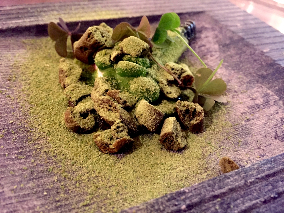 Galleria fotografica



