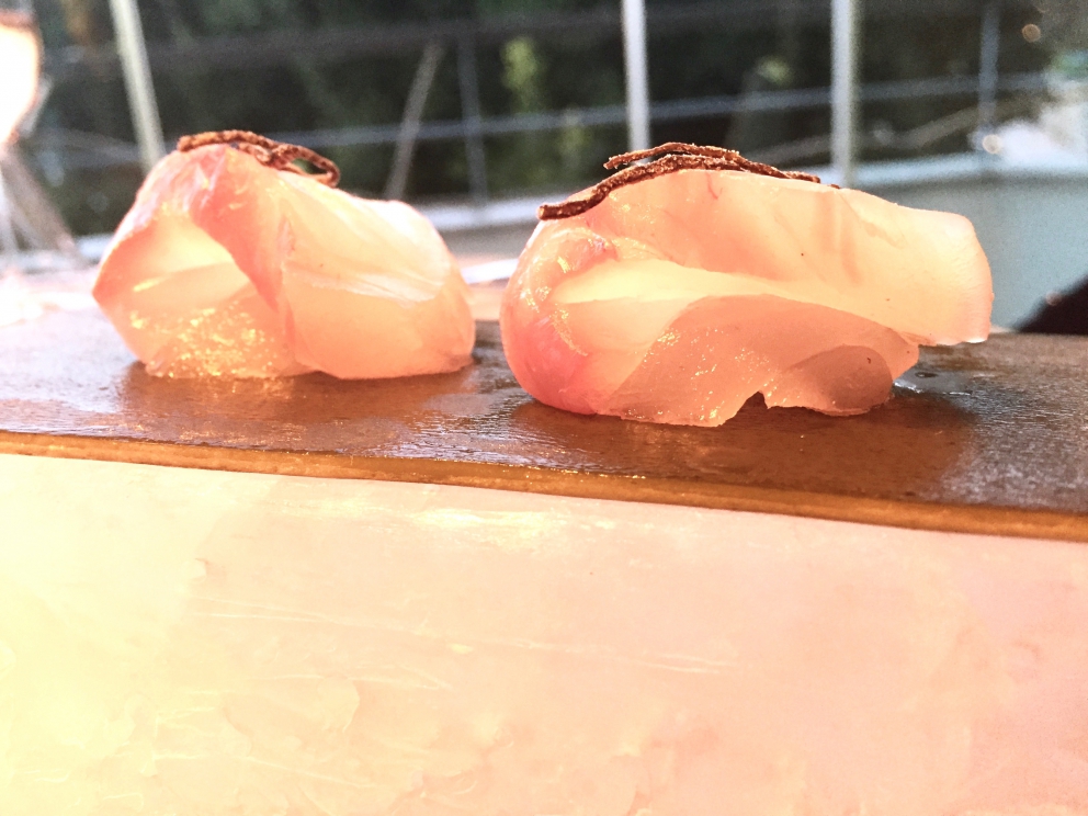 Galleria fotografica



