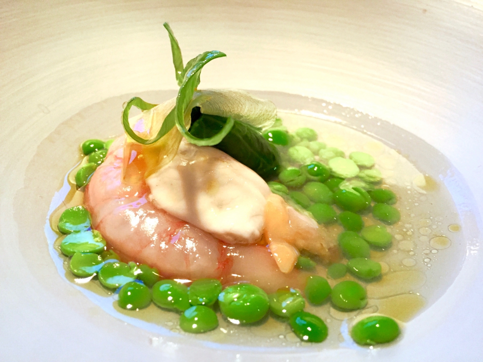 Galleria fotografica






Dieci super-piatti di David Kinch, serviti al Mirazur di Mentone. Il primo: Orata come sashimi, julienne di ravanello asiatico e alga dulse






