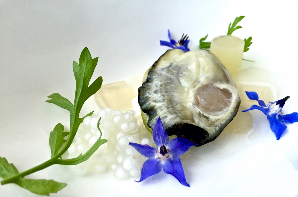 Galleria fotografica






Il primo appetizer: Gelatina di barbabietola e mousse di formaggio di capra









Altri due amuse bouche: Macaron di sanguinaccio e mela verde e Cromesquis di anguilla affumicata, bocconi spaziali






