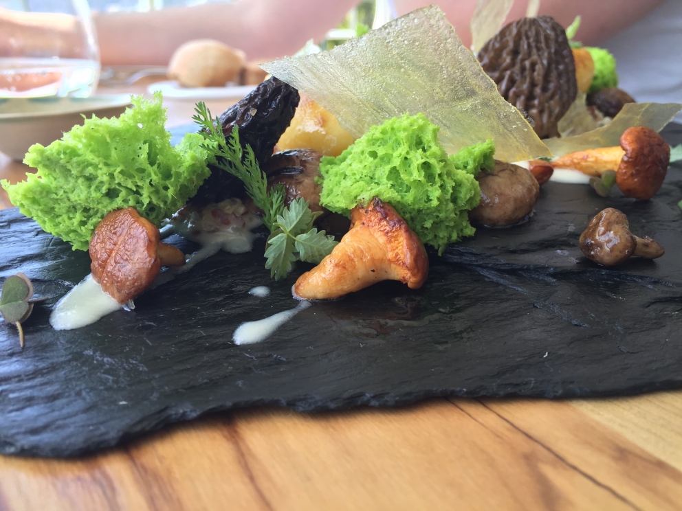 Galleria fotografica






Il primo appetizer: Gelatina di barbabietola e mousse di formaggio di capra









Altri due amuse bouche: Macaron di sanguinaccio e mela verde e Cromesquis di anguilla affumicata, bocconi spaziali









Il primo piatto "dei 10 anni", un best seller: Ostrica Gillardeau (2013) con crema di scalogno, tapioca e declinazione di pera Williams









Insalata di fagiolini (2007) con ciliegie, pistacchi, zucchine trombetta, rucola... Il lusso della semplicità. Oggi la vera opulenza in cucina è poter contare su un orto a 300 metri che ti fornisce vegetali così. Indimenticabile









Uovo Florentine (2010), altro piatto ormai celebre: con caviale Oscietra uruguagio del Rio Negro, crema di spinaci e di zabaione









Astice Blu (2009), con brodo di camomilla di montagna, fiori di nasturzio e verdure di primavera: all'opposto dell'Insalata di fagiolini, qui l'opulenza è quella classica, ma ugualmente deliziosa






