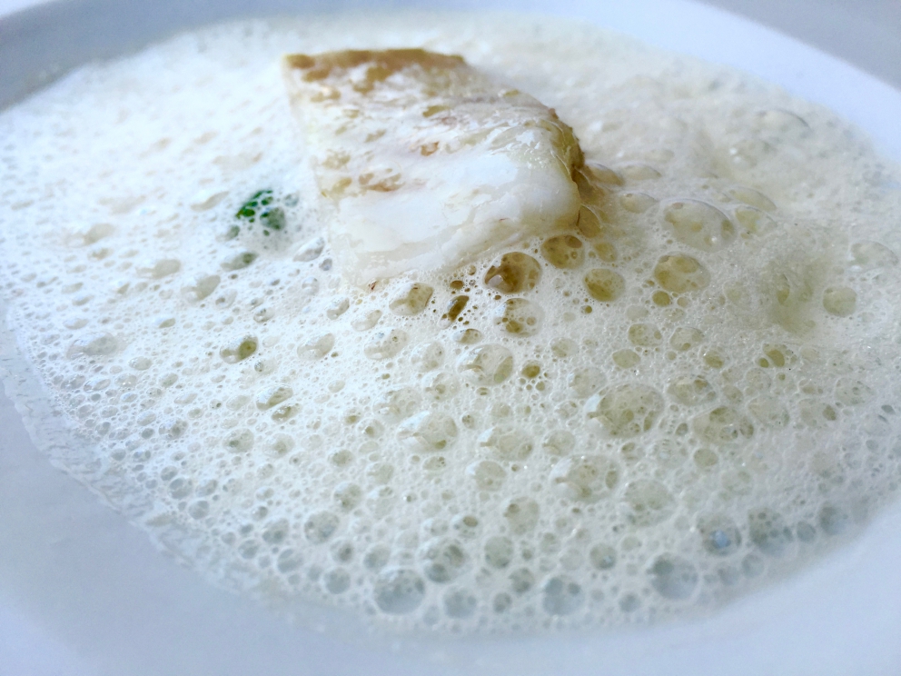 Galleria fotografica






Il primo appetizer: Gelatina di barbabietola e mousse di formaggio di capra









Altri due amuse bouche: Macaron di sanguinaccio e mela verde e Cromesquis di anguilla affumicata, bocconi spaziali









Il primo piatto "dei 10 anni", un best seller: Ostrica Gillardeau (2013) con crema di scalogno, tapioca e declinazione di pera Williams









Insalata di fagiolini (2007) con ciliegie, pistacchi, zucchine trombetta, rucola... Il lusso della semplicità. Oggi la vera opulenza in cucina è poter contare su un orto a 300 metri che ti fornisce vegetali così. Indimenticabile









Uovo Florentine (2010), altro piatto ormai celebre: con caviale Oscietra uruguagio del Rio Negro, crema di spinaci e di zabaione









Astice Blu (2009), con brodo di camomilla di montagna, fiori di nasturzio e verdure di primavera: all'opposto dell'Insalata di fagiolini, qui l'opulenza è quella classica, ma ugualmente deliziosa









La Forêt (2011), un altro dei super-classici di Colagreco: funghi (spugnole, porcini, champignons), risotto di quinoa, patate Agata, spugna di prezzemolo, salsa di Grana Padano Riserva e odori (pimpinella, achillea, oxalis)









Un "giovane classico", Calamaro di Bordighera (2014) con salsa alla bagna cauda, carciofi e chips di riso nero






