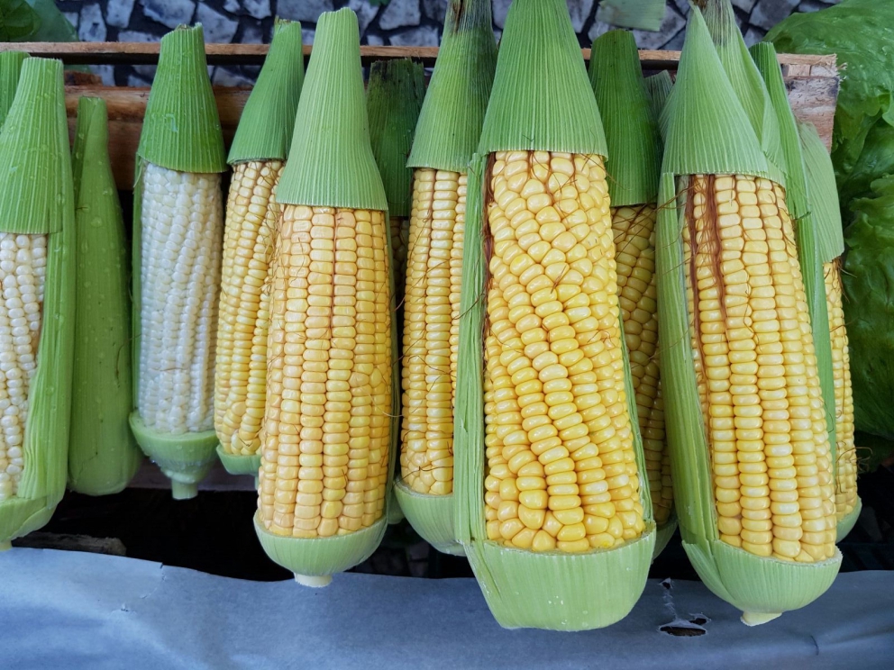 Galleria fotografica











Lo staff del Refettorio Gastromotiva









Matteo Renzi, Davide Oldani e Giancarlo Lunelli un paio di giorni fa, a Rio









In libreria dal 9 agosto i(e oggi in edicola) anche il nuovo libro di Oldani per i Giochi Olimpici: parla di cucina, cibo, salute e benessere









Casa Italia a Rio









David Hertz e Massimo Bottura









Bottura con David Hertz









La cena inaugurale di Casa Italia a Rio









Il menu della cena d'inaugurazione di Casa Italia









E per finire quattro scatti di Oldani tra i colori e i profumi dei mercati alimentari di Rio











