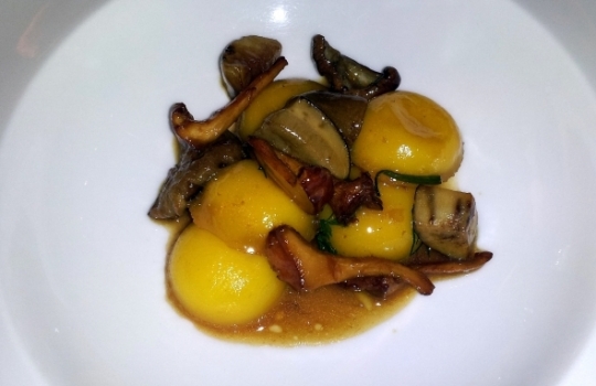 Galleria fotografica



