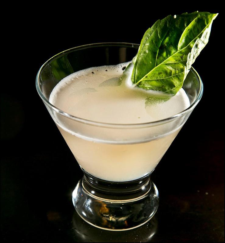 Galleria fotografica



