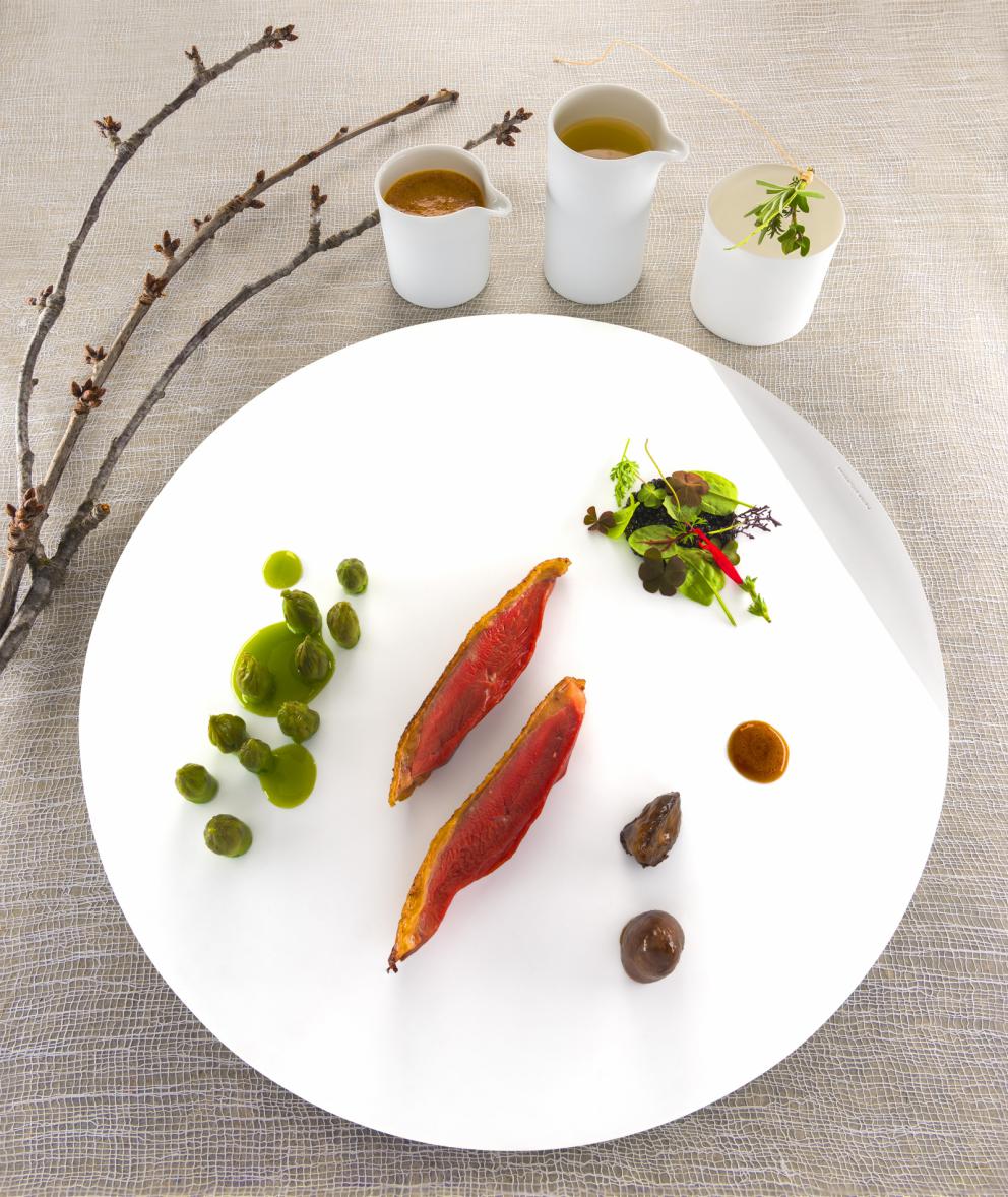 Galleria fotografica






Filetto di cinghiale con fave, pecorino e mele caramellate al vino rosso
Manuel Bentivoglio – chef dell’Agriturismo Roccamaia a Pievebovigliana (Macerata) 









Pancia di Capretto, Cicala di mare "gonfiata" al Bergamotto, Cilantro, Lampascione e Mosto Cotto di Fichi
Vincenzo Dinatale – sous chef al Ristorante Il Pellicano dell’Hotel Il Pellicano a Porto Ercole (Grosseto) 









Sud Europa - Carrè di agnello farcito con ventresca di tonno rosso sott'olio e cedro calabrese candito
Carmelo Fiore – sous chef presso Il Luogo di Aimo e Nadia a Milano 









Gambero carabiniere, animelle glassate, croccante alle alghe con insalatina aromatica
Edoardo Fumagalli – chef de La Locanda del Notaio a Pellio Intelvi (Como) 









Nervetto di vitello marinato e grigliato, radice amara e ristretto di "Go"
Daniele Groppo – chef de partie al Ristorante Terrazza Danieli dell’Hotel Danieli a Venezia 









Vantablack Cube, lingua soppressata e tamarindo
Alberto Lazzoni – chef de partie al ristorante Lux Lucis dell’Hotel Principe a Forte dei Marmi (Lucca) 






