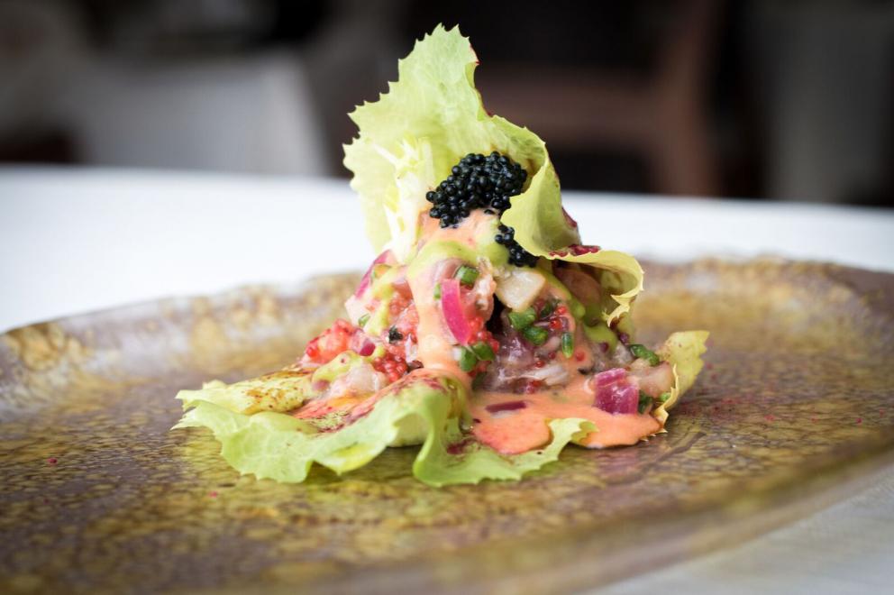 Photogallery






Carciofo, artichoke, a brilliant dish based on contrasts






