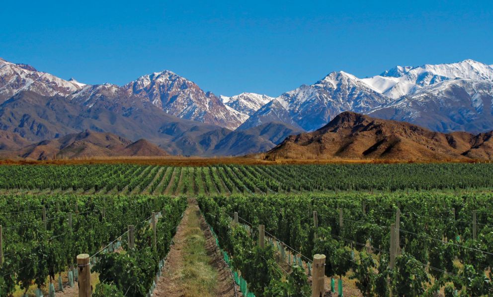 Mendoza: la nuova meta enogastroturistica dell’Argentina