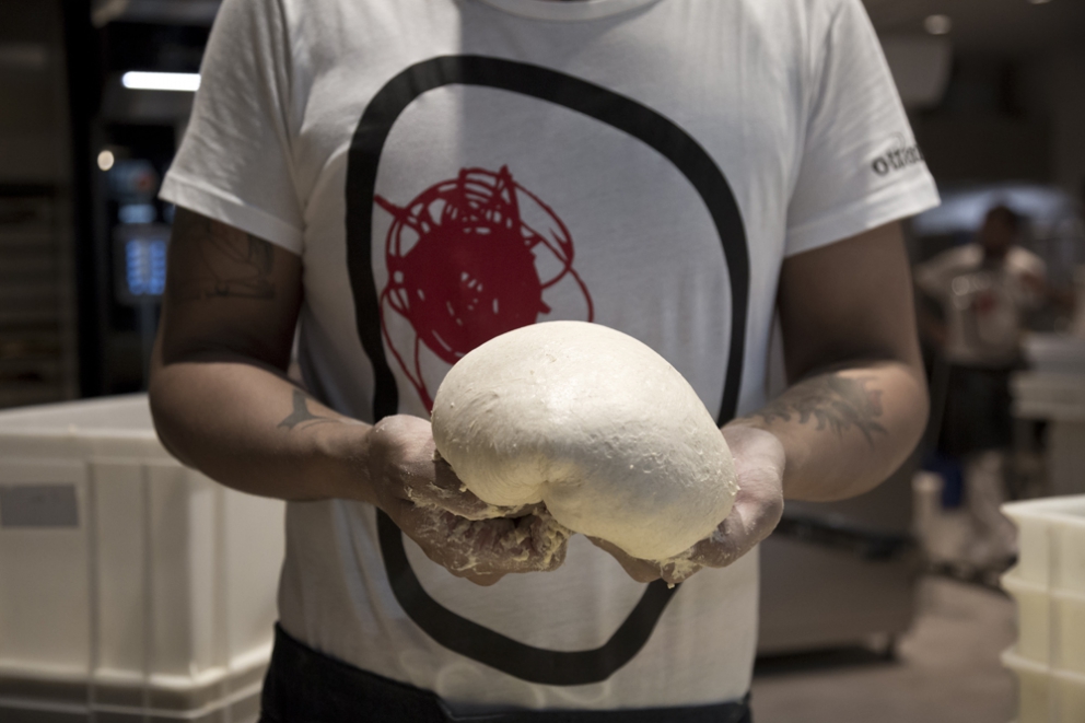 Galleria fotografica






































