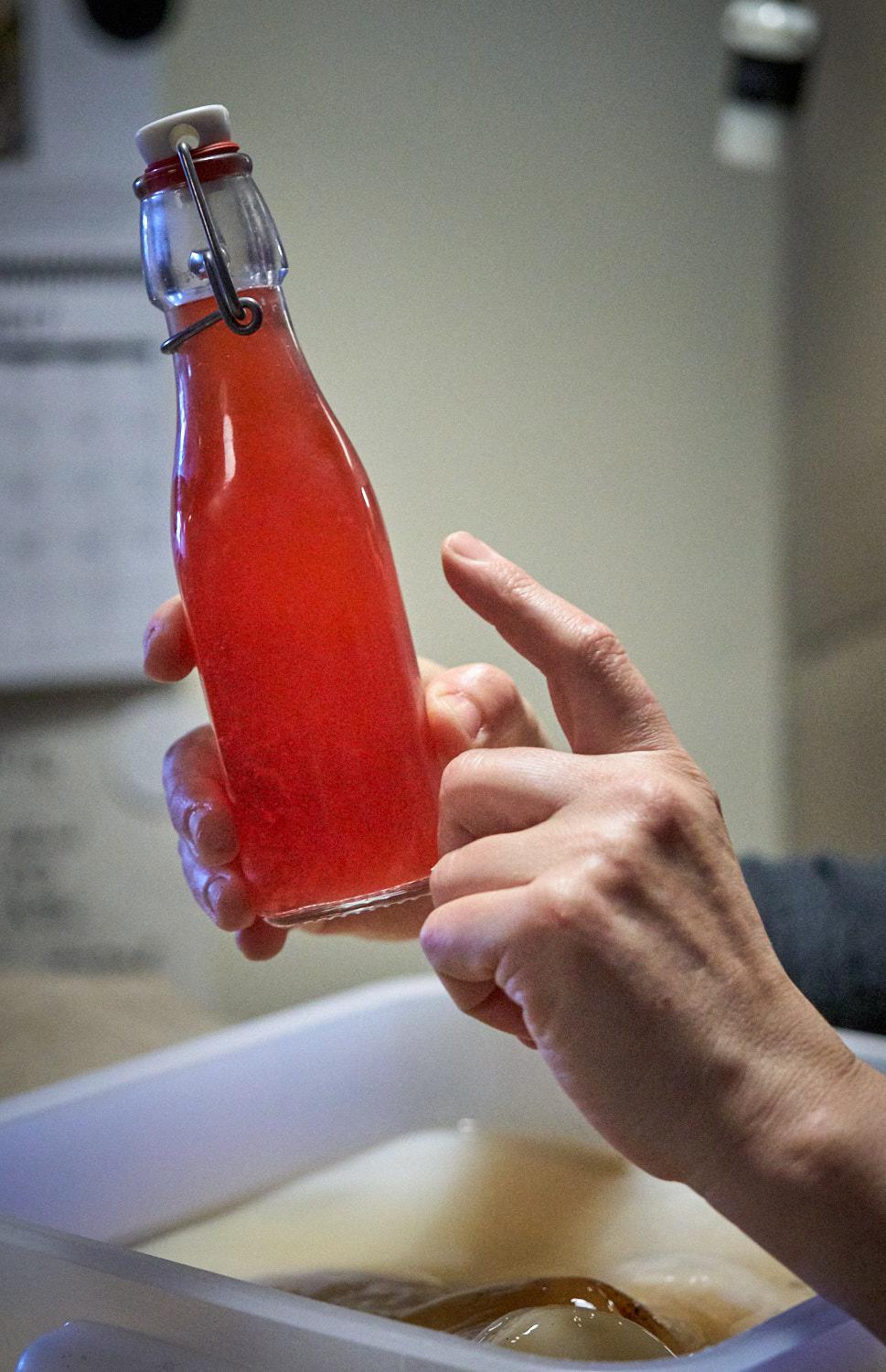 Galleria fotograficaVerso la notte in North Albina Avenue a PortlandIl portico del B&B scelto a Portland
L'ingresso del B&B
Sarah Minnick e Paolo Marchi del salone della villa occupata a Portland
Fresh Pot, il caff&egrave; del mattino nel Mississippi District in Portland
L'altra America, quella che non si chiude in se stessaFranco Pepe e il suo prezioso collaboratore Salvatore Vigliotta nella foto di Luciano Furia
In viaggio verso l'Ayers Creek Farm a Gaston
Il campo difficile da coltivare all'Ayers Creek Farm a Gaston. Per i messicani che vi lavorano, non vi &egrave; nulla da fare: &egrave; un terreno freddo. Di anima
Camminare la campagna nell'Oregon. Da sinistra verso destra si riconoscono Carol e Anthony Boutard, Sarah Minnick, Paolo Marchi, Salvatore Vigliotta e Franco Pepe. Foto di Luciano Furia
Topolino
Sarah Minnick
Anthony Boutard nei suoi campi
Franco Pepe e Sarah Minnick
Internet ha messo in crisi le famose cassette per le lettere americane
Carol Boutard, Sarah Minnick, Paolo Marchi e, ultimo a destra, Anthony Boutard
Sotto una tettoia della Ayers Creek Farm, a Gaston In Oregon, il padrone di casa, Anthony Boutard, ha sistemato due incredibili modelli Citro&euml;n che per davvero hanno fatto la storia dell'automobile: una DS famigliare (a sinistra) e, addirittura, una Traction Avant
Carol Boutard sfoglia il manuale da loro curato sul mais
Le pannocchie di granoturco nero che Anthony Boutard sta selezionado nella sua fattoria partendo da un tipo di mais blu misto a chicchi neri
Una confezione di mais nero e blu. Per arrivare a una produzione 100% nera, dopo ogni raccolto i responsabili dell&rsquo;Ayers Farm Creek commercializzano entrambi i tipi di granoturco mischiati tra loro, ma seminano solo il genere nero
Anthony Boutard, Sarah Minnick e Carol Boutard nella foto di Luciano Furia
Anthony Boutard presenta il men&ugrave; e la Minnick ride contenta
La foto, di Paolo Marchi, &egrave; mossa e andrebbe scartata ma &egrave; la sola che fissa, prima di essere servito agli ospiti, un eccellente piatto a pranzo a casa Boutard: Mais Amish Butter con ostriche, rockfish e granchi
Torta di granoturco nero Peace, No War con salsa di lamponi e crema inglese
Un ritratto particolarmente riuscito di Luciano Furia a Sarah Minnick
Paolo Marchi, Franco Pepe e Salvatore Vigliotta nella foto di Luciano Furia
Lo schizzo fatto da Franco Pepe su un tovagliolino di carta per spiegare alla Minnick come disporre al meglio i pezzi di legna nel forno per la pizza. L&rsquo;alare serve per dare aria alle braci e rendere pi&ugrave; omogeneo il calore
Paolo Marchi prende appunti mentre Sarah Minnick spiega una delle sue pizze
Il post di Sarah Minnick nella sua pagina di Instagram nel quale presenta una delle pizze che preparer&agrave; luned&igrave; 6 marzo a Milano: Spinaci con pomodori sbriciolati, capperi, peperoni e carote fermentati, aglio e formaggio feta
Una coltivazione di funghi, sorta di madre che la Minnick cura personalmente al Lovely's Fifty-Fifty. Bello no di certo, ma perfetto per ottenere ottimi succhi naturali come la kombucha
